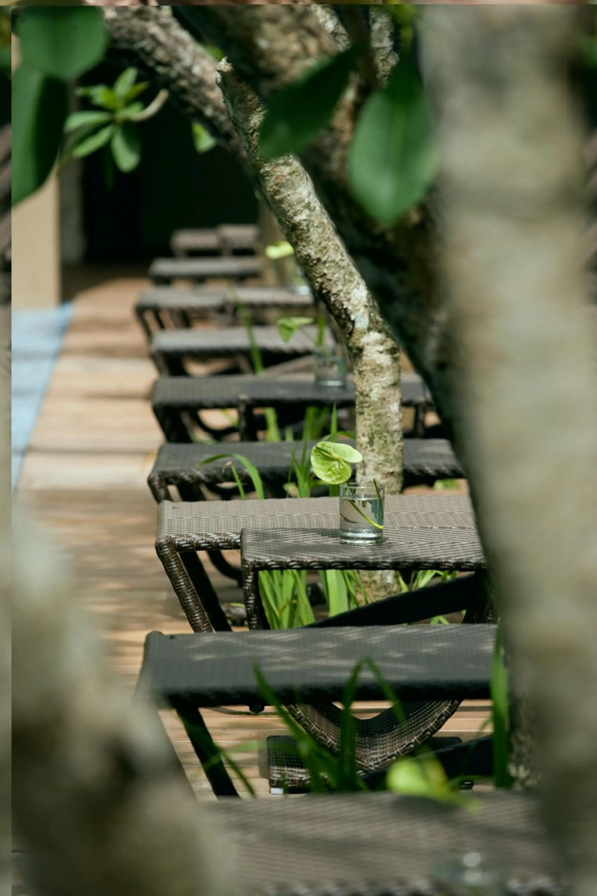 Pool view in Hotel Santika Kuta
