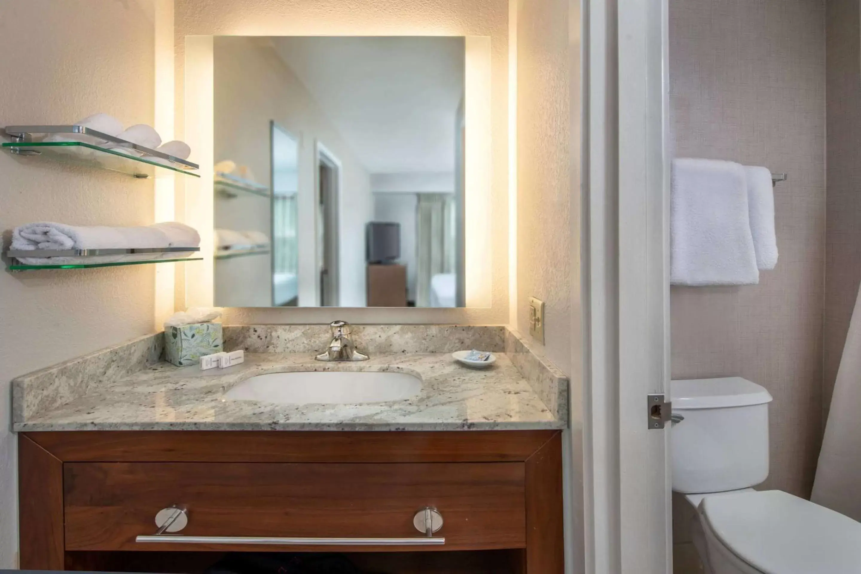 Bathroom in Sonesta ES Suites Baltimore BWI Airport