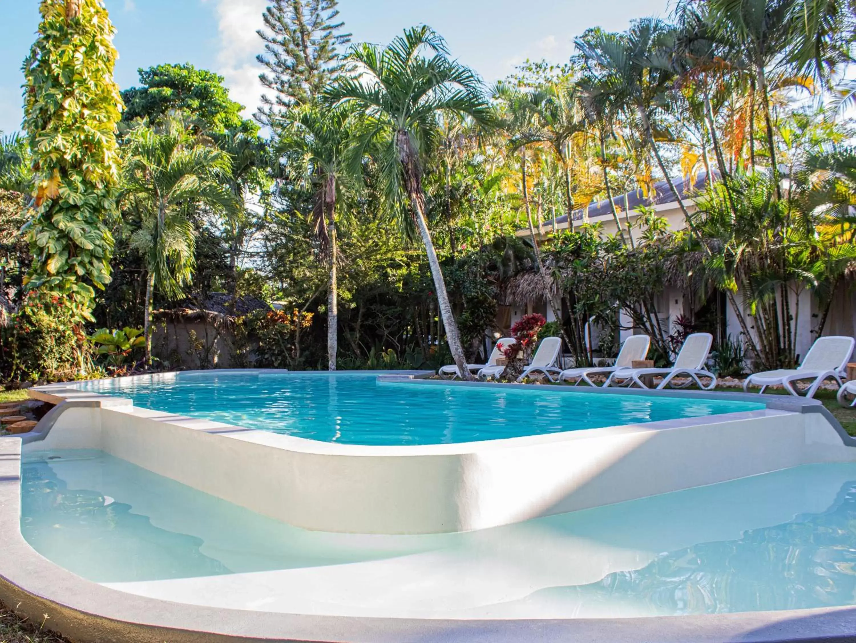 Garden, Swimming Pool in Hotel La Tortuga