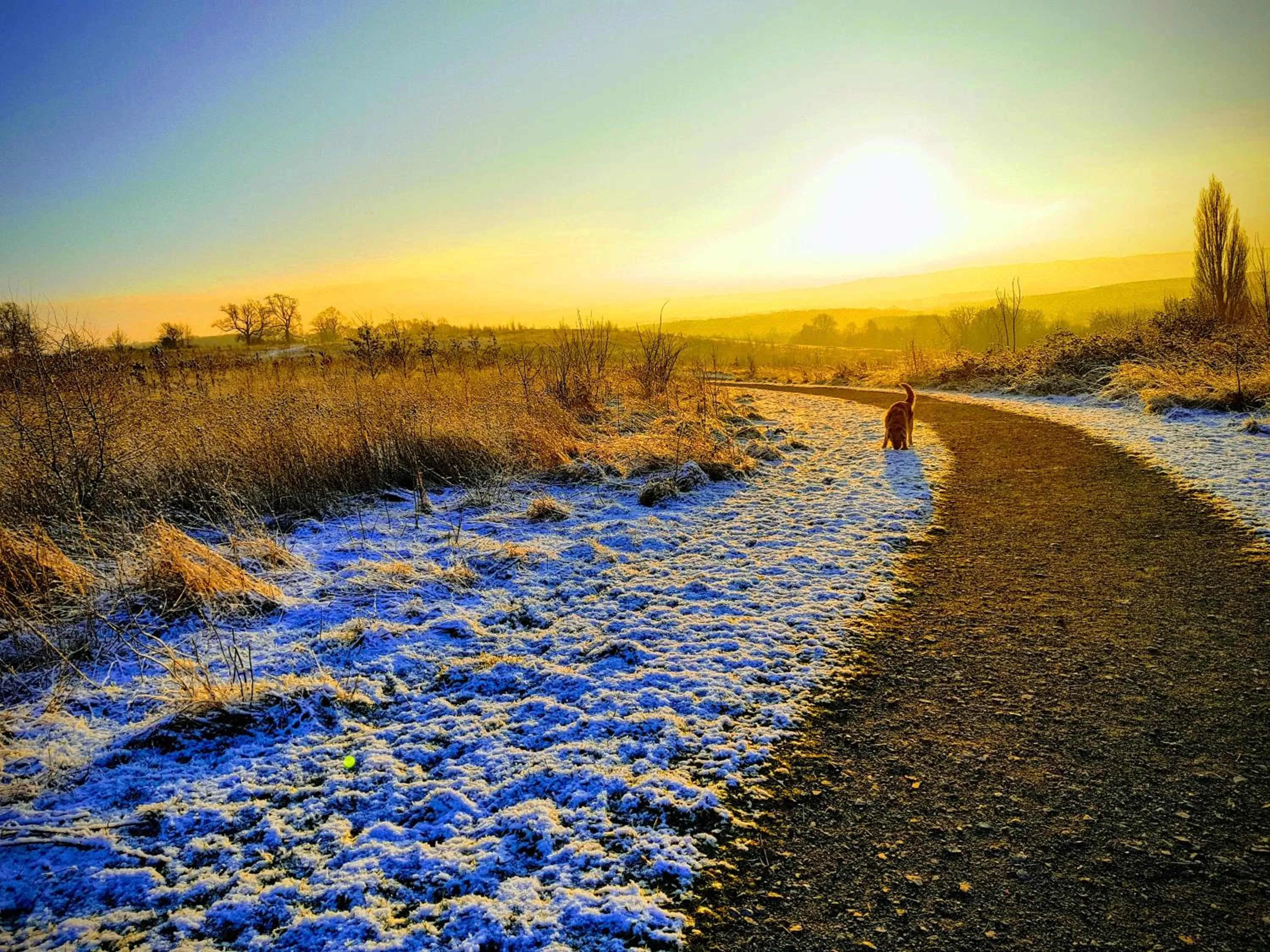 Activities in Wisteria Haze