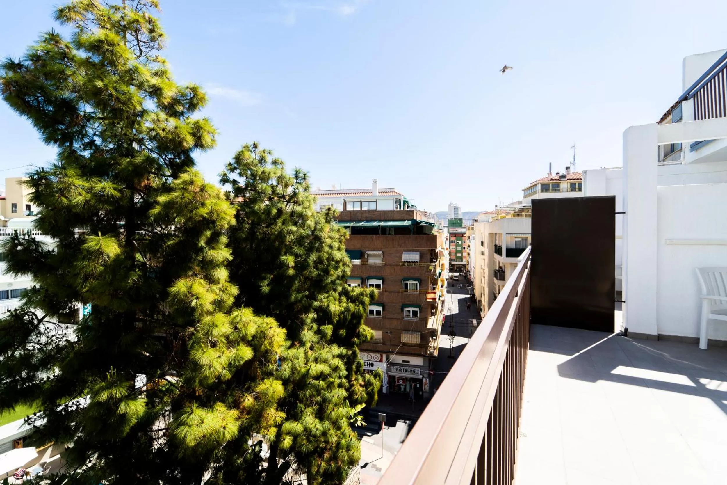 Property building in Hotel Montesol Benidorm