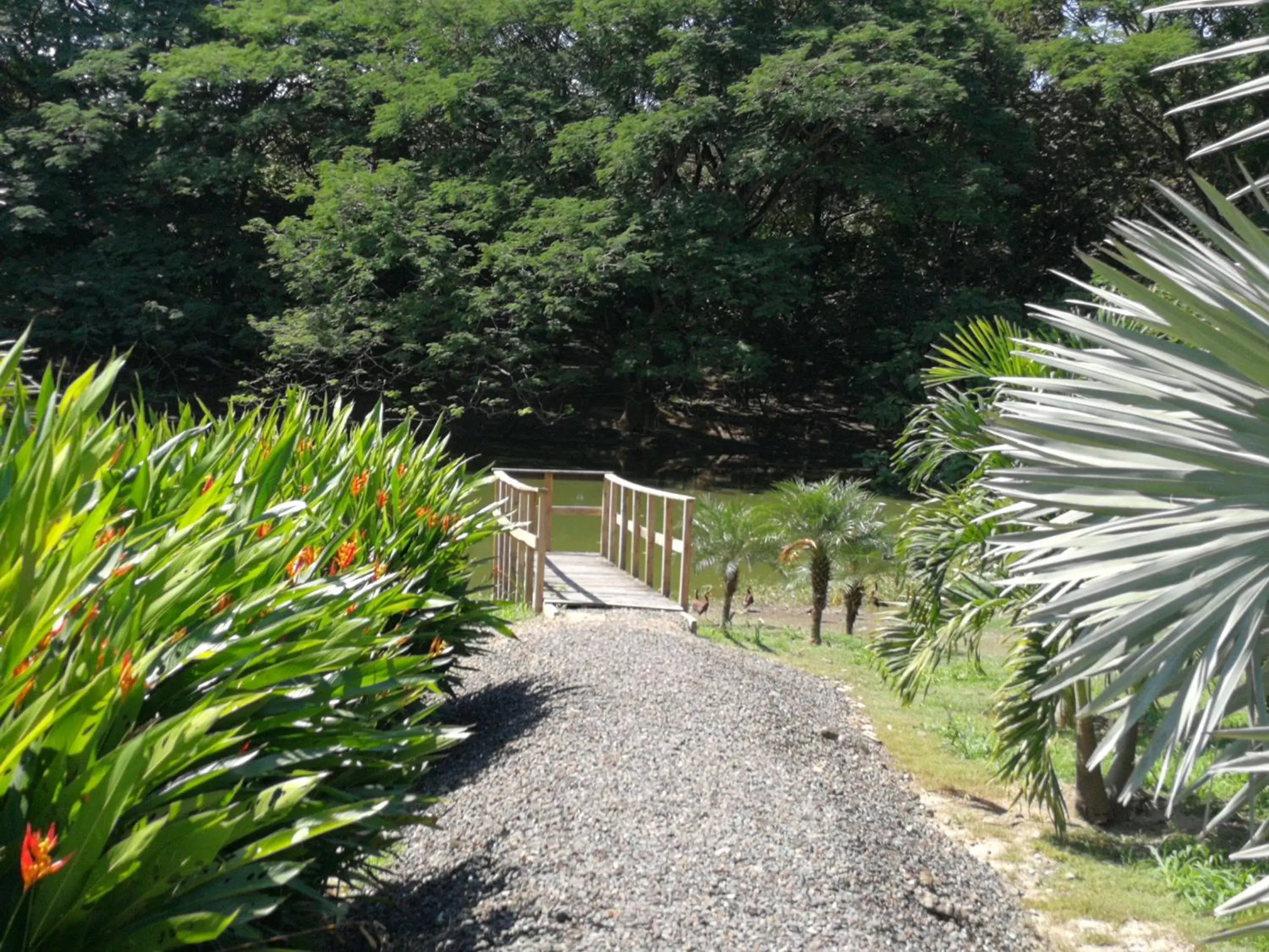 Lake view, Garden in Best Western El Sitio Hotel & Casino