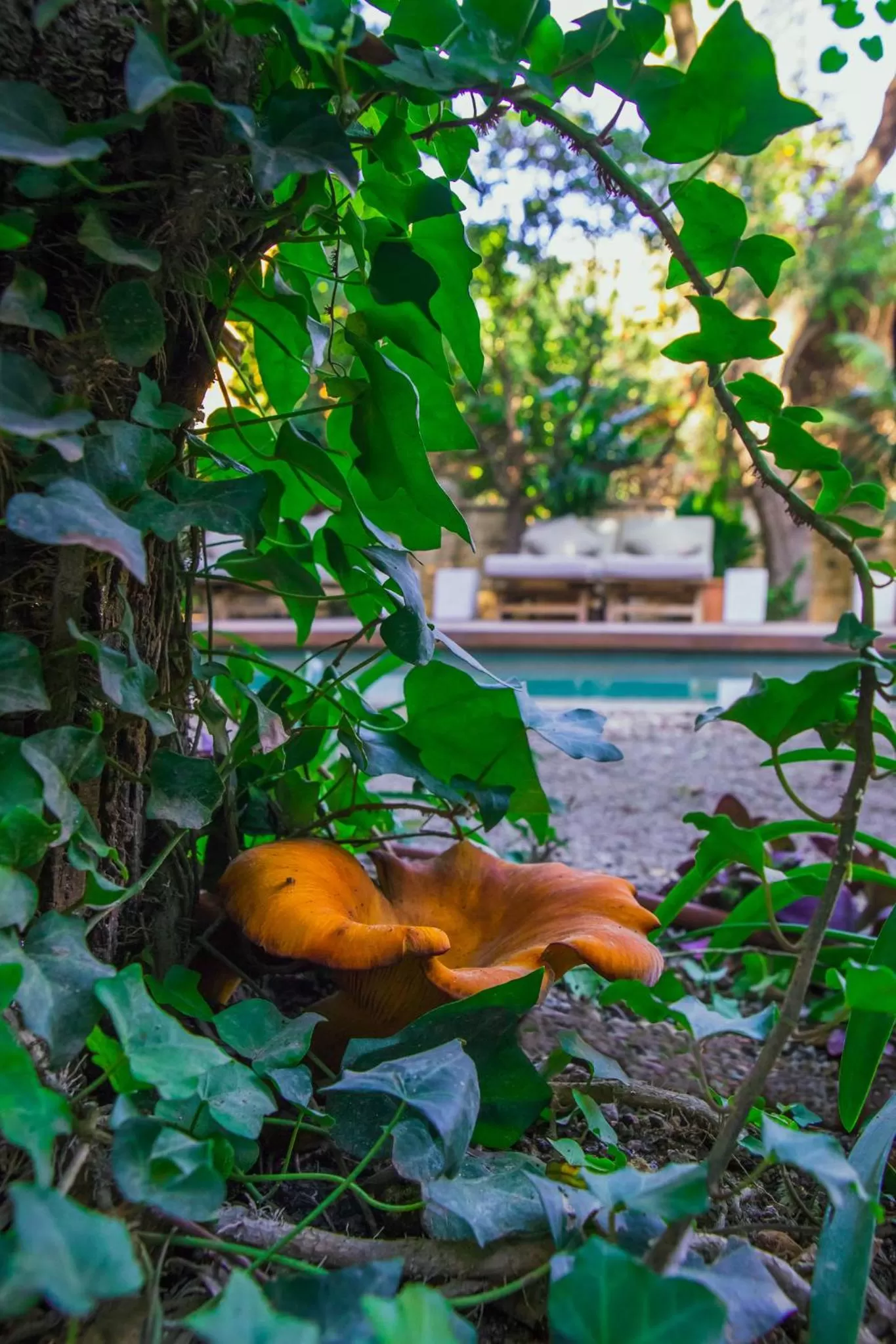 Garden in Can Bordoy Grand House Hotel GL Preferred Hotel