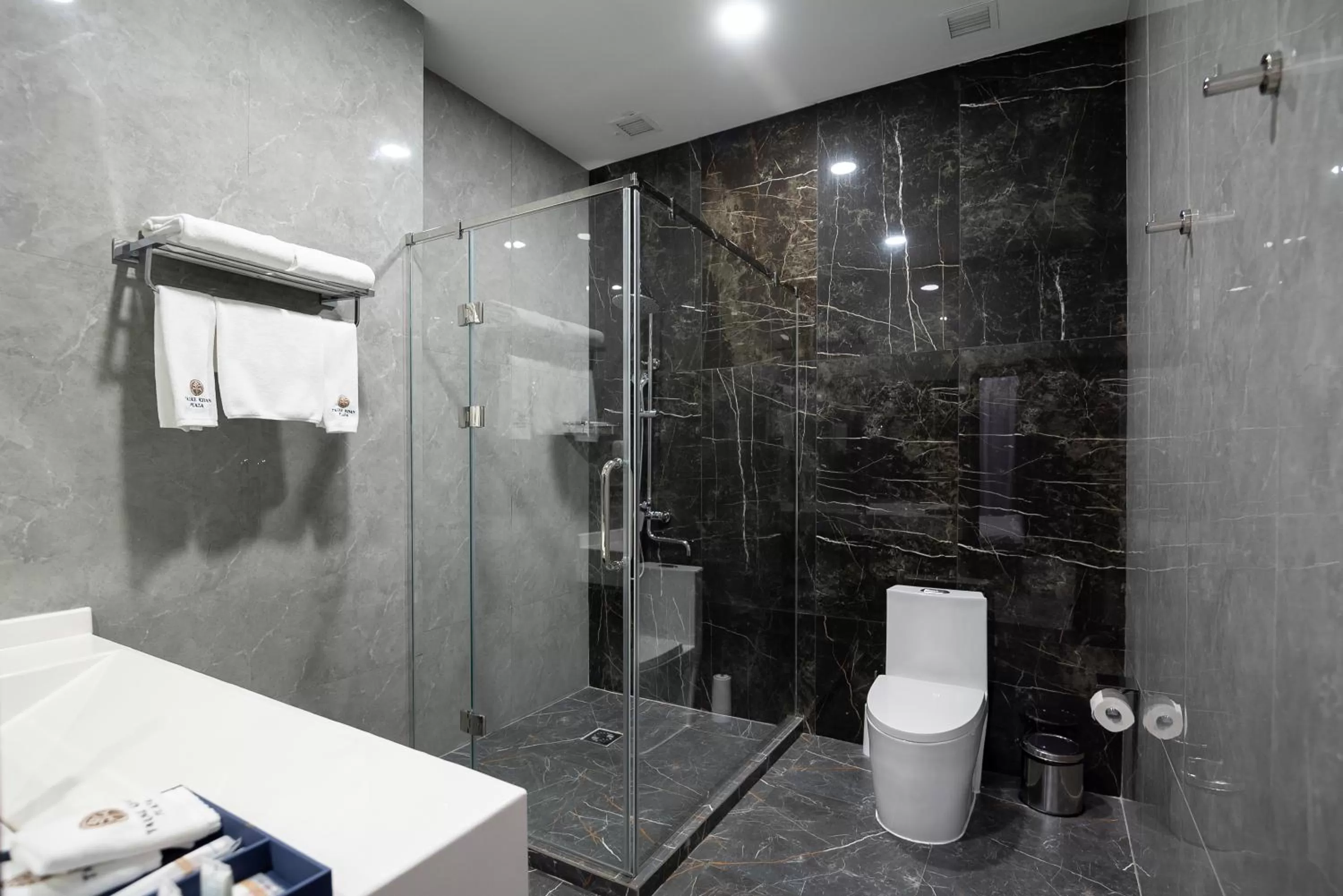 Bathroom in Tauke Khan Plaza