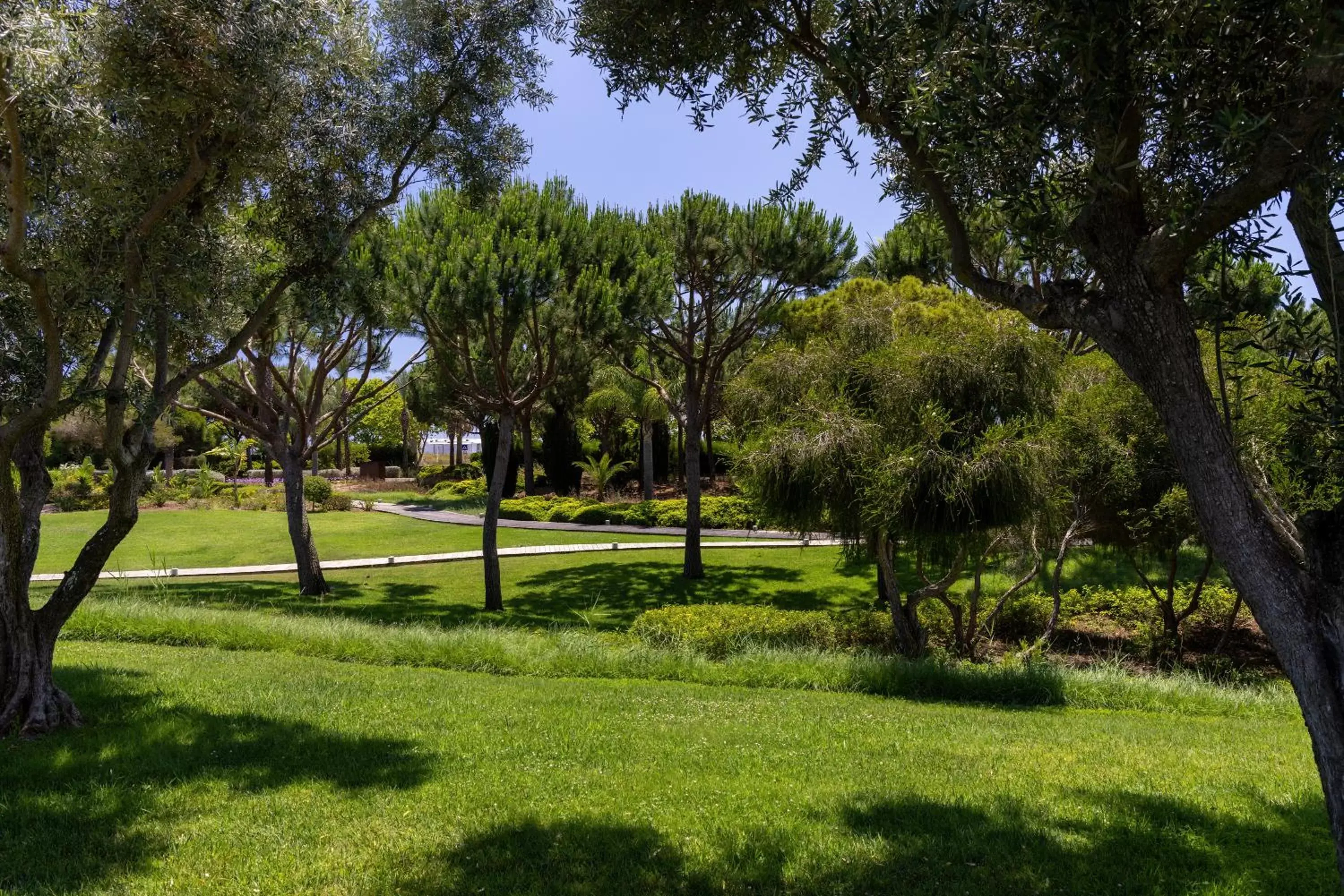 Garden in Domes Lake Algarve, Autograph Collection