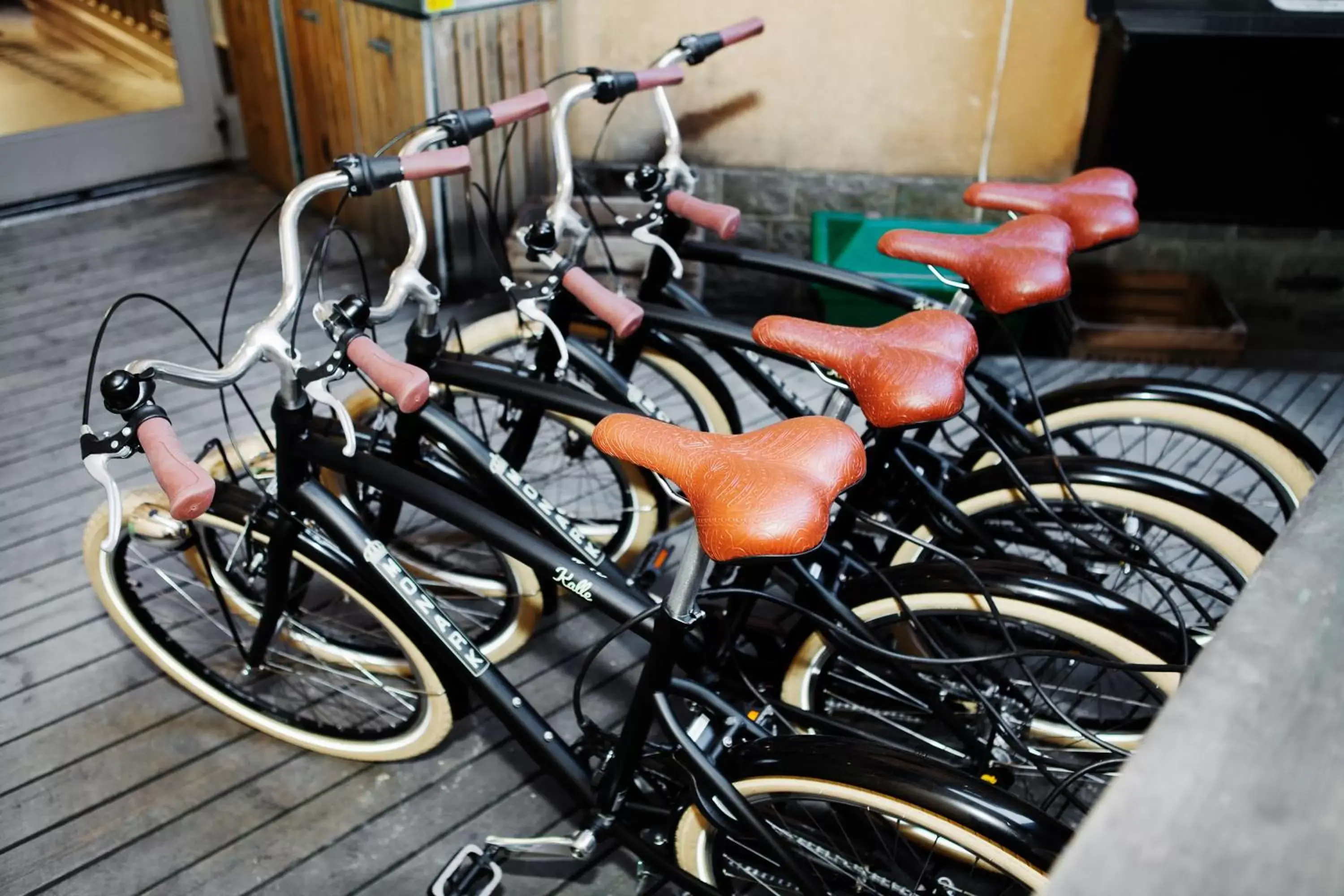Cycling, Biking in City Backpackers Hostel