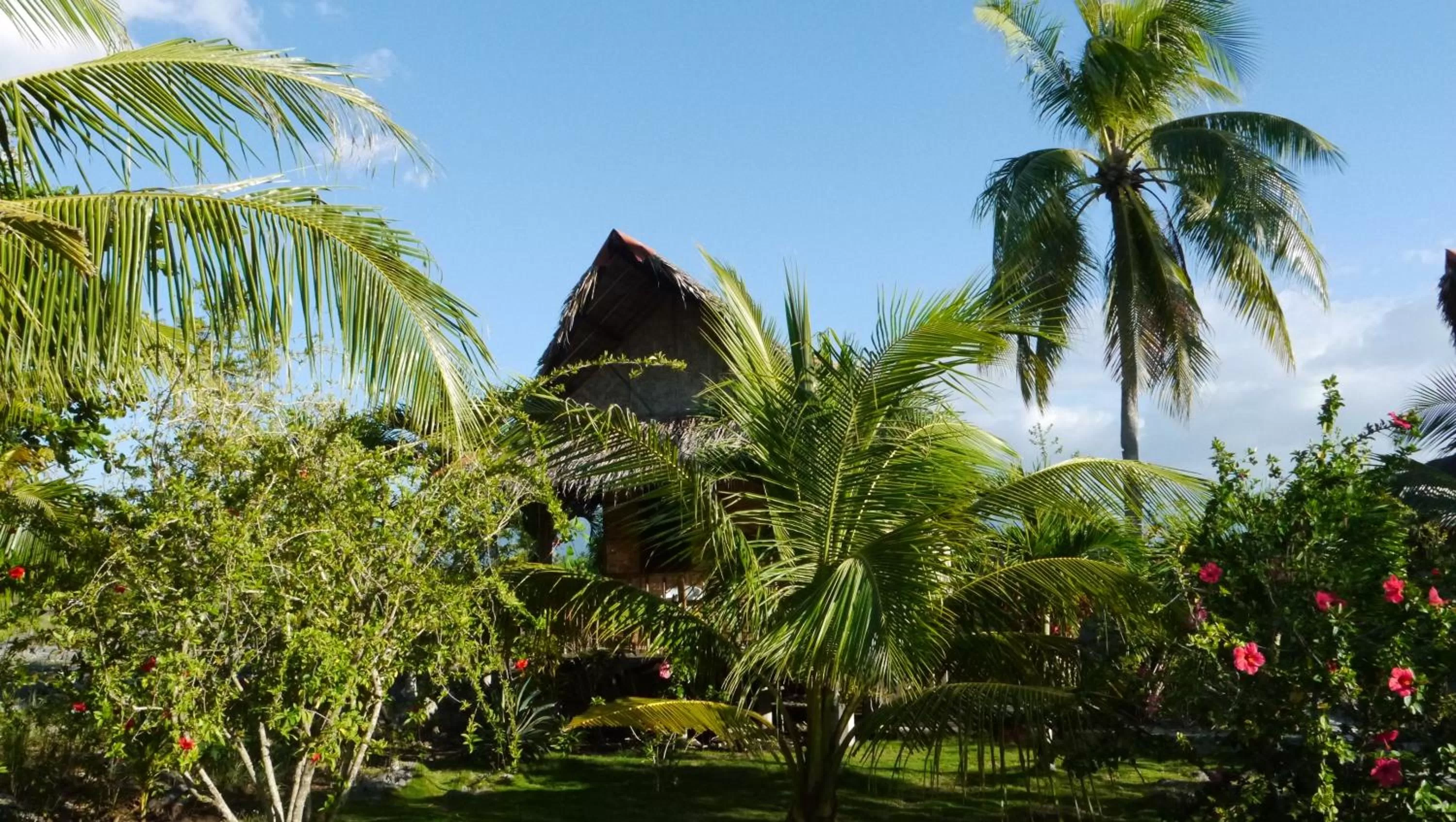 Natural landscape in Moalboal T Breeze Coastal Resort