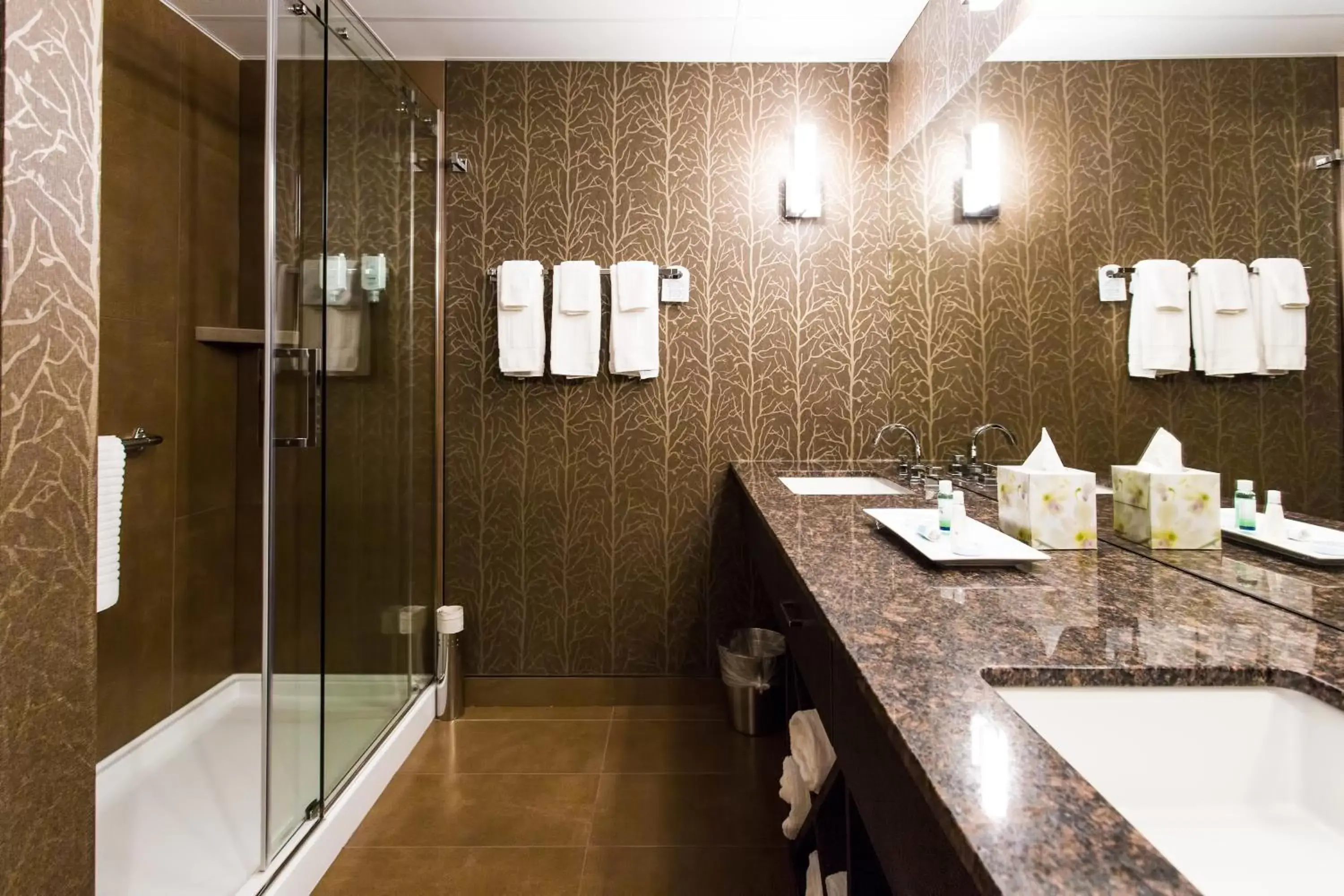 Shower, Bathroom in Hotel Blackfoot