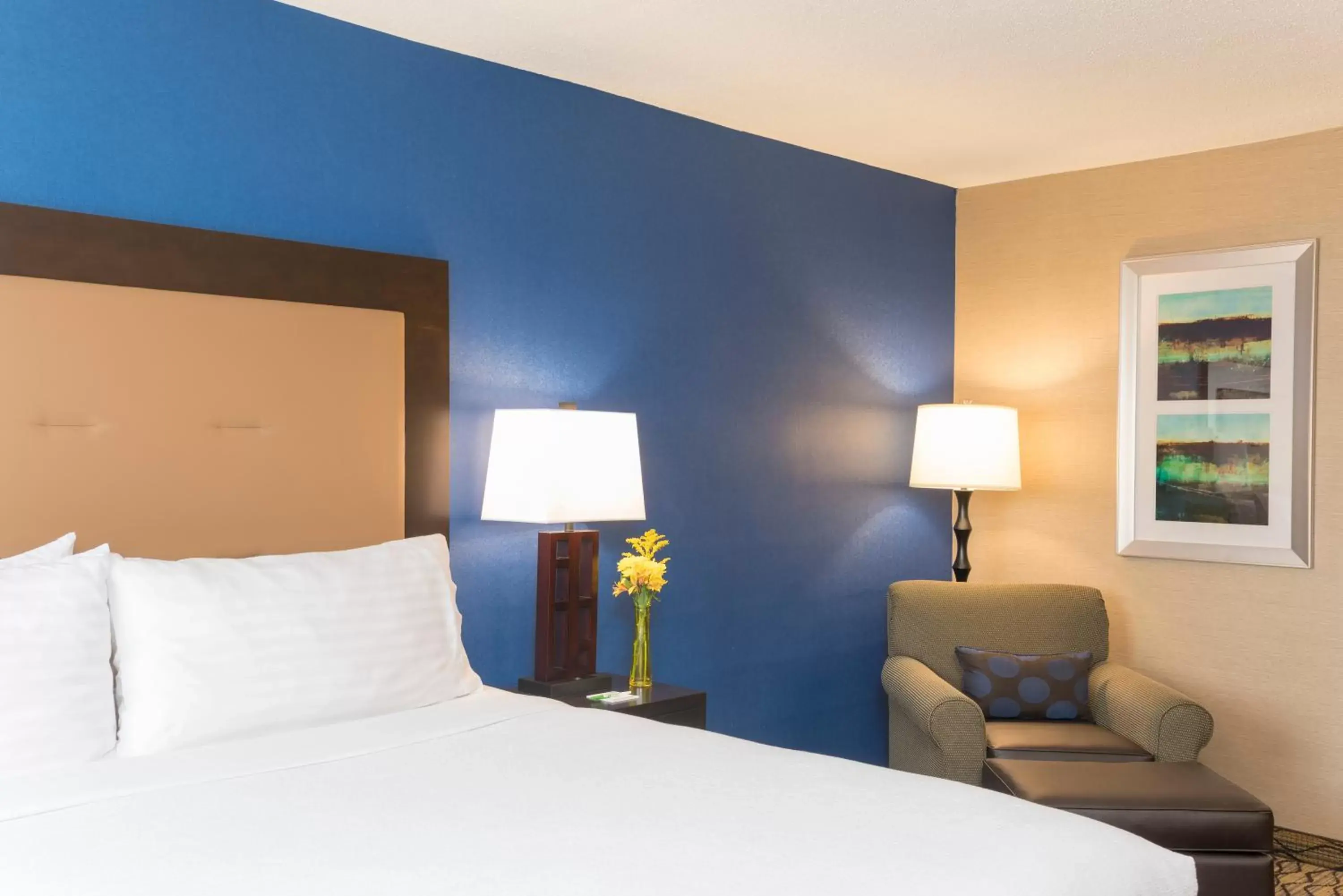 Bed, Room Photo in Holiday Inn Chicago - Elk Grove, an IHG Hotel