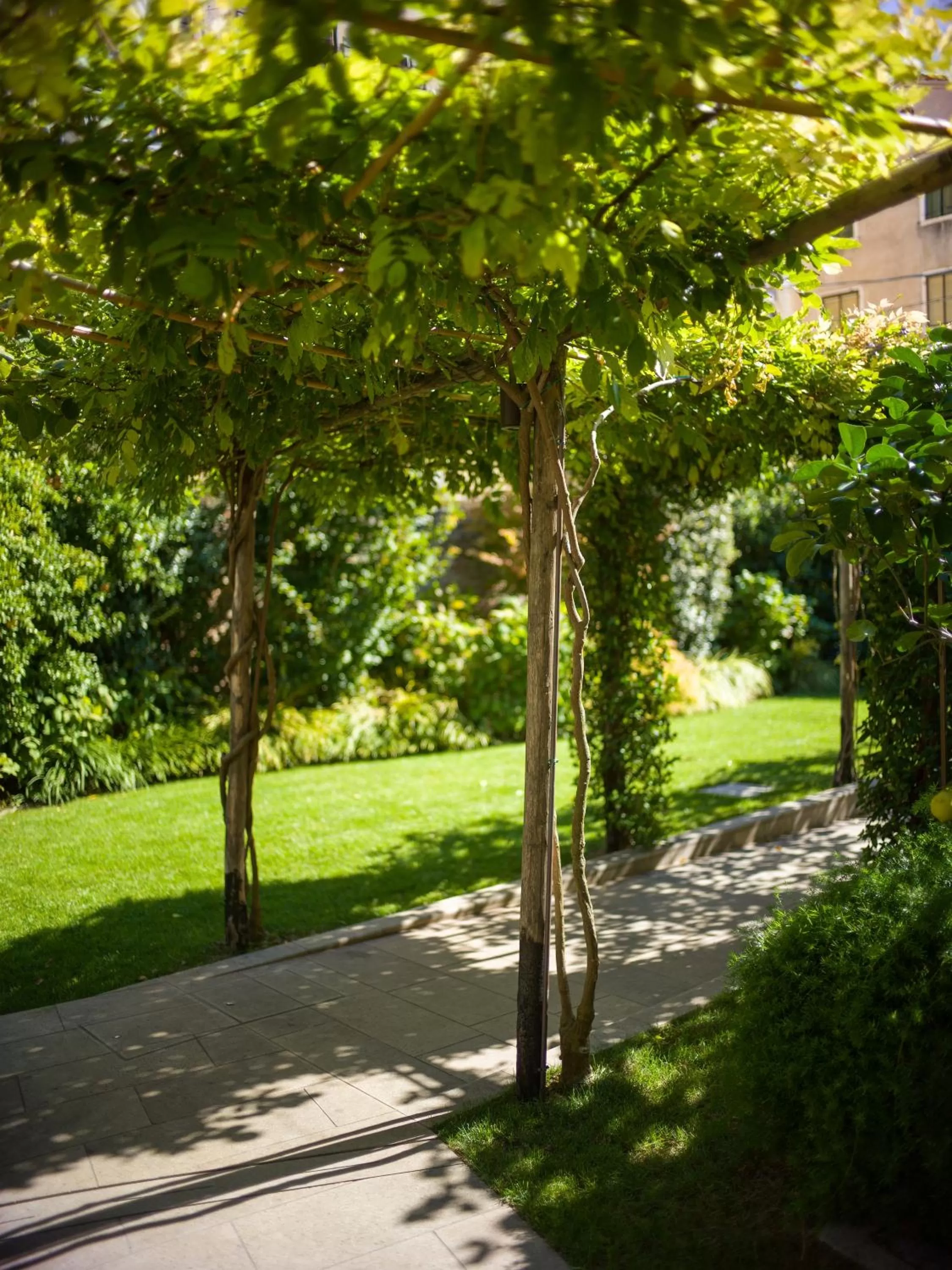 Garden in Madama Garden Retreat