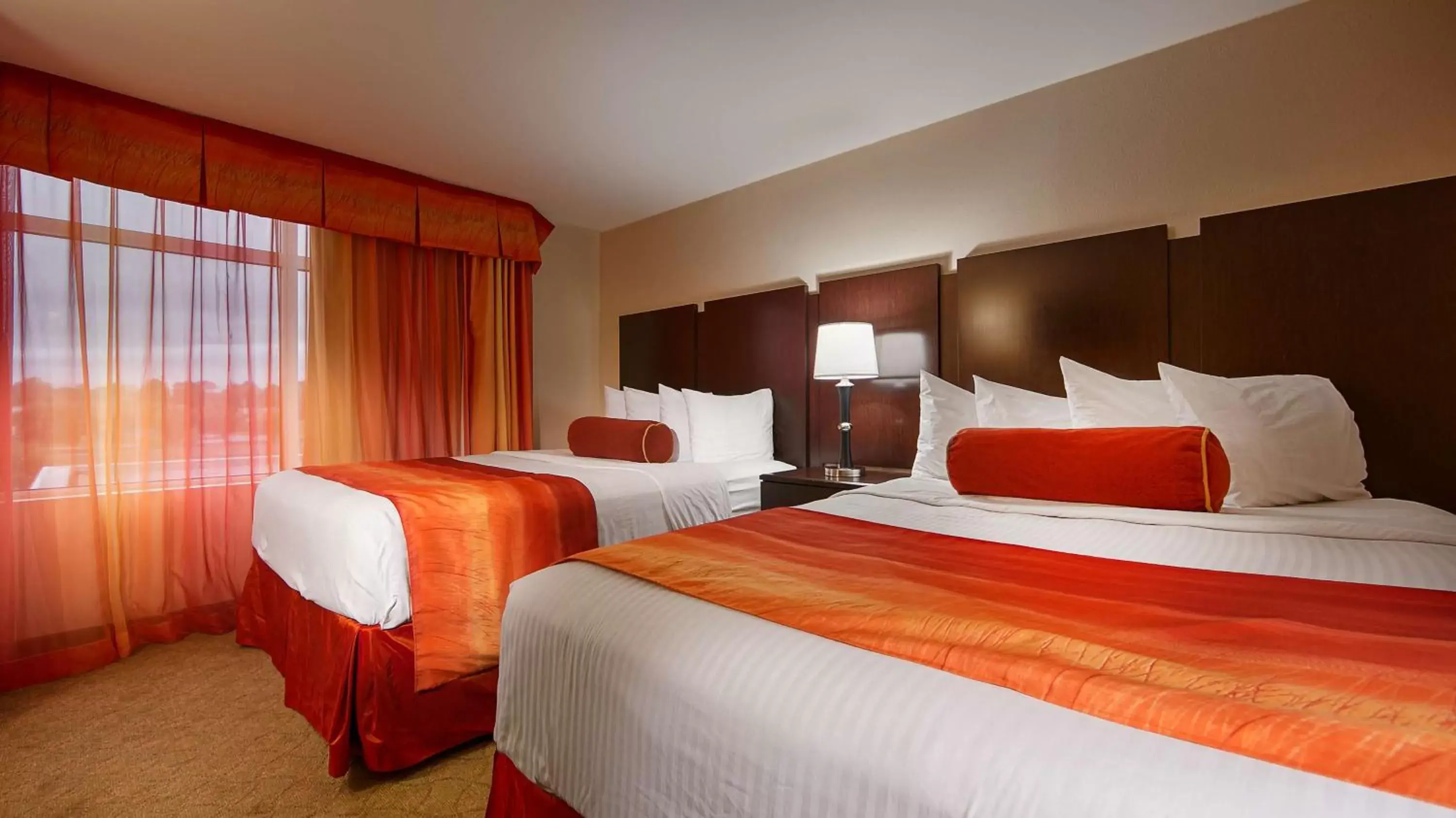 Photo of the whole room, Bed in Best Western Plus Cecil Field Inn & Suites Photo of the whole room, Bed in Best Western Plus Cecil Field Inn & Suites