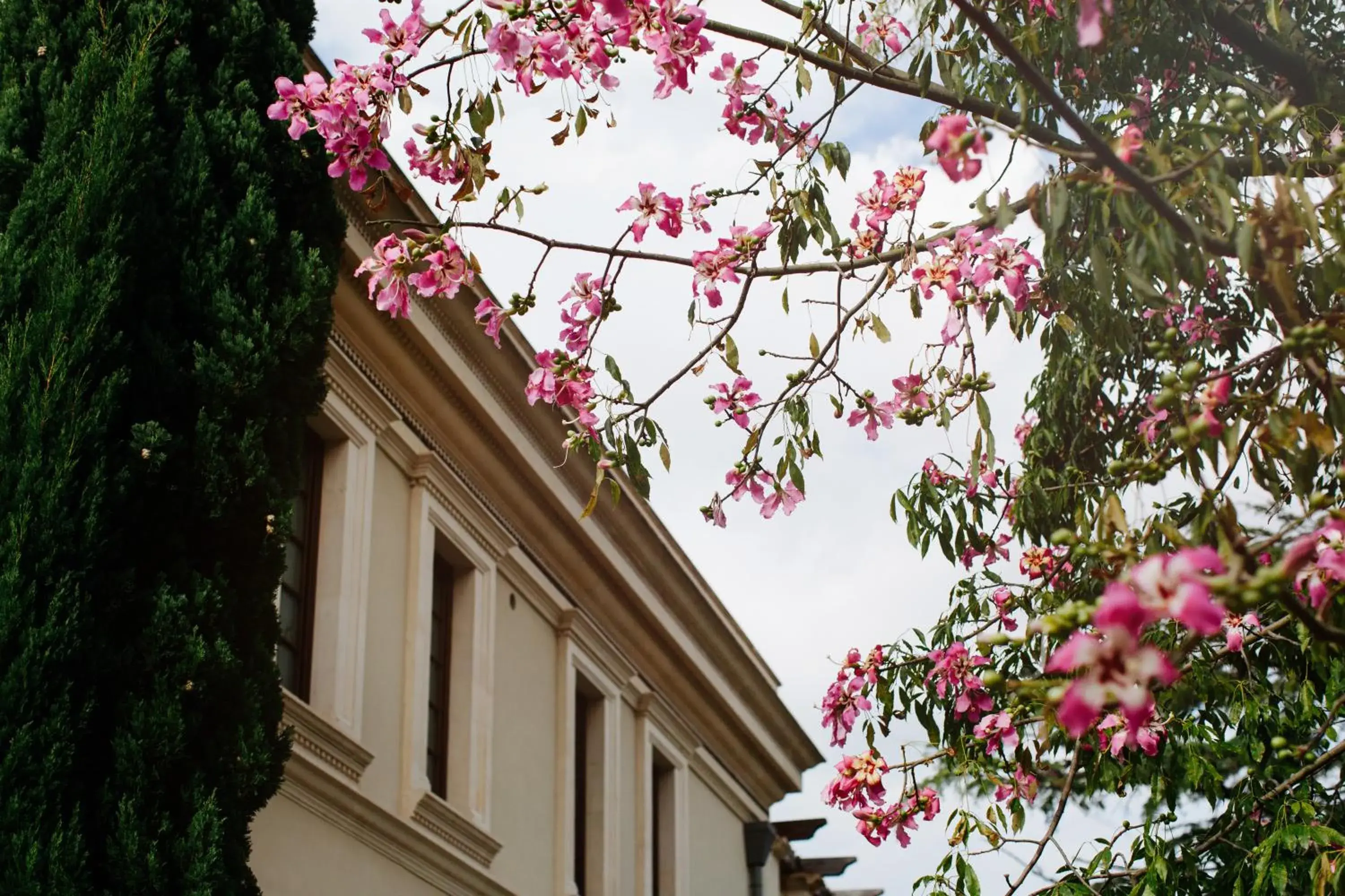 Garden view, Property Building in The Ashbee Hotel