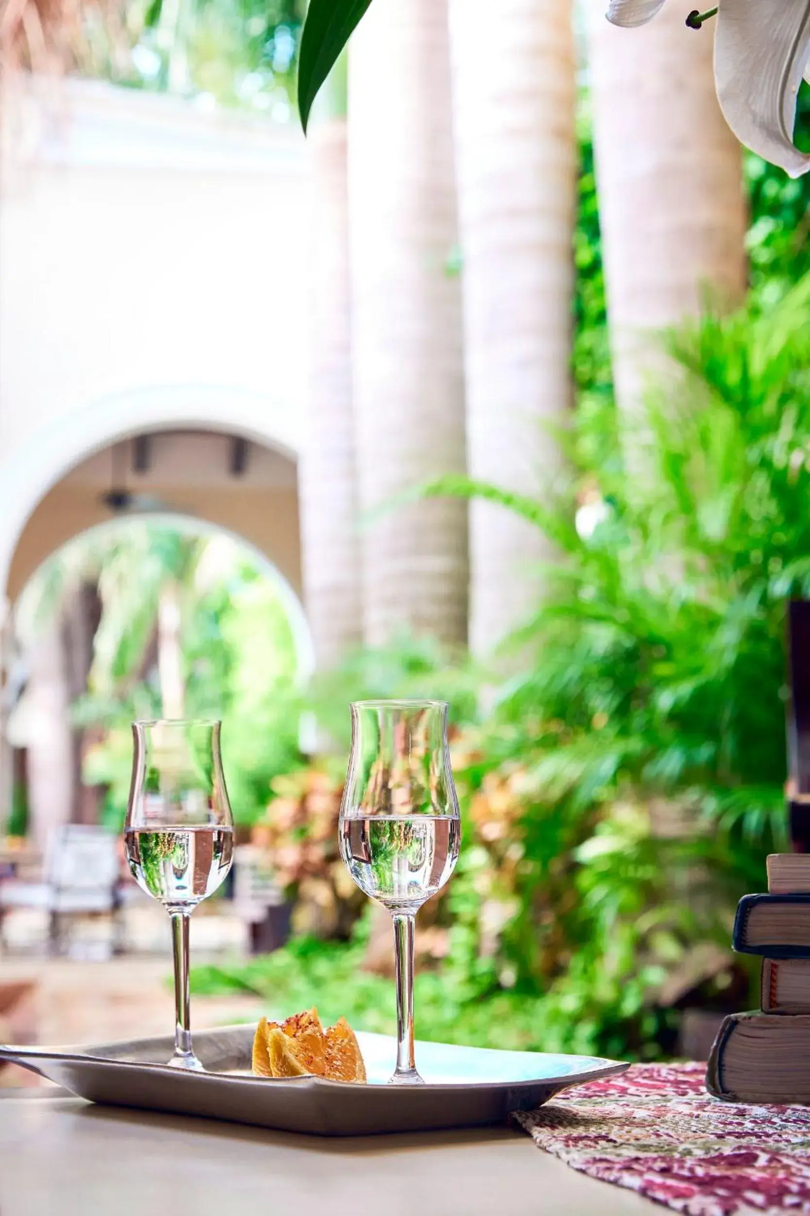 Garden in Casa Lecanda Boutique Hotel