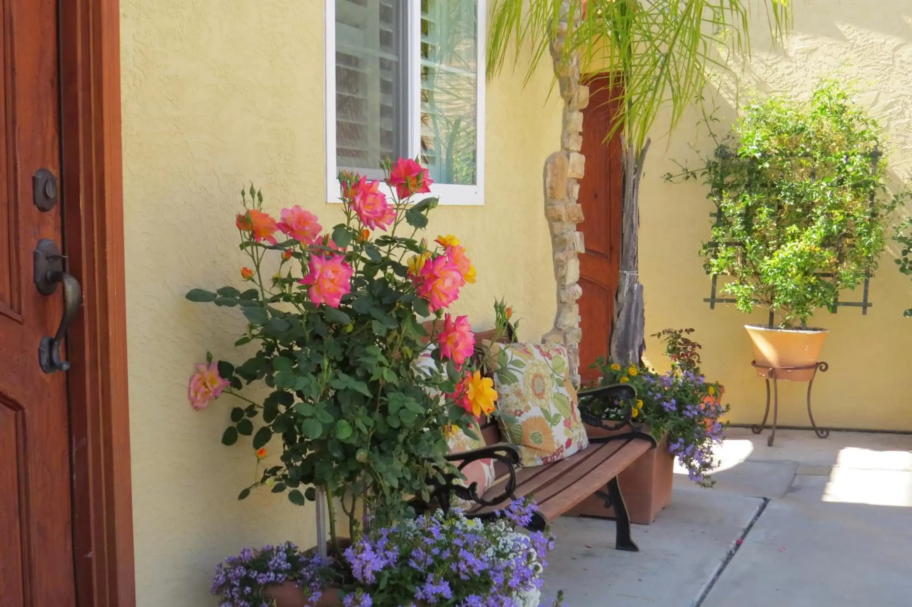 Patio in Leucadia Beach Inn