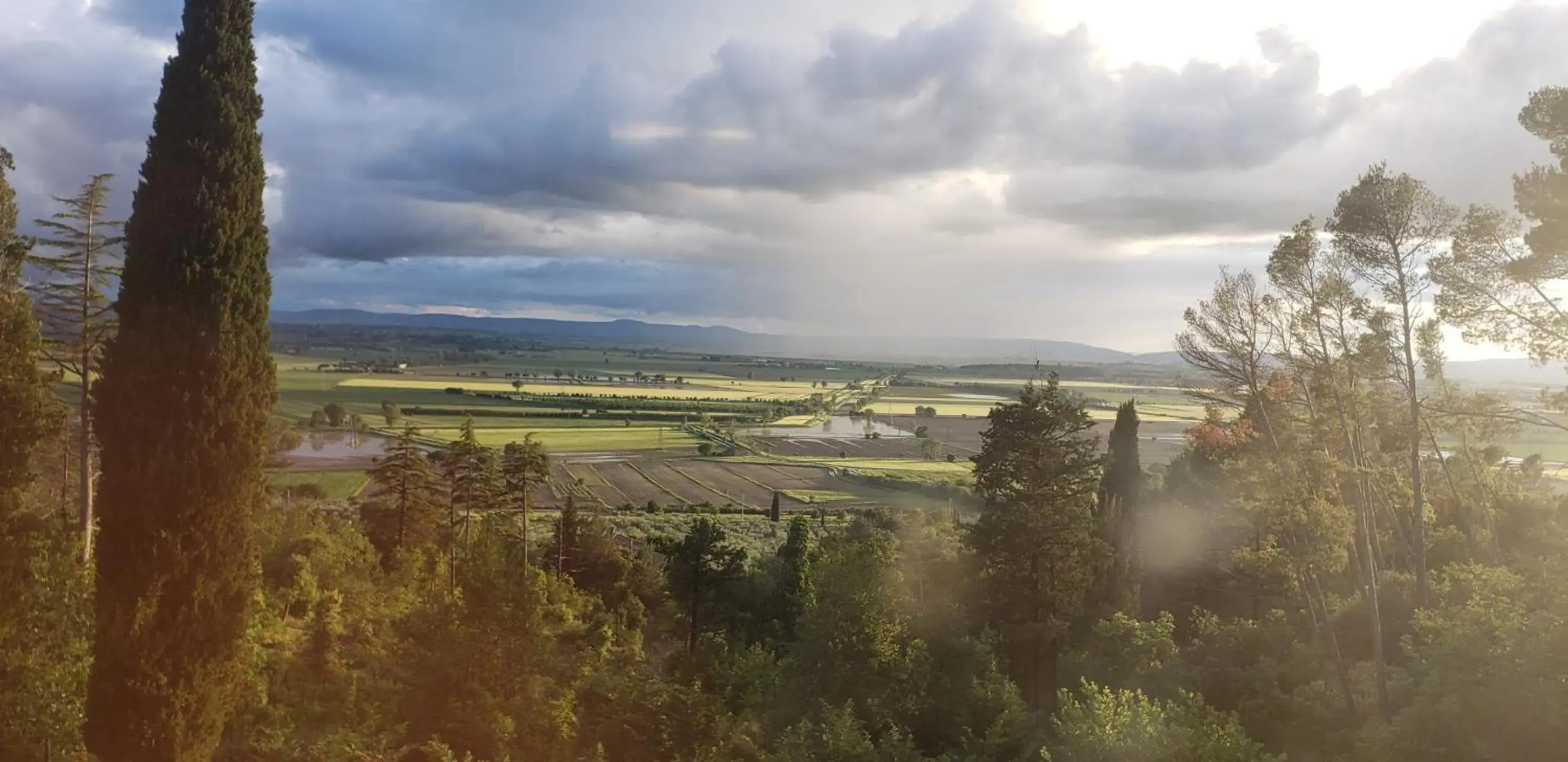 Natural landscape in Villa Schiatti