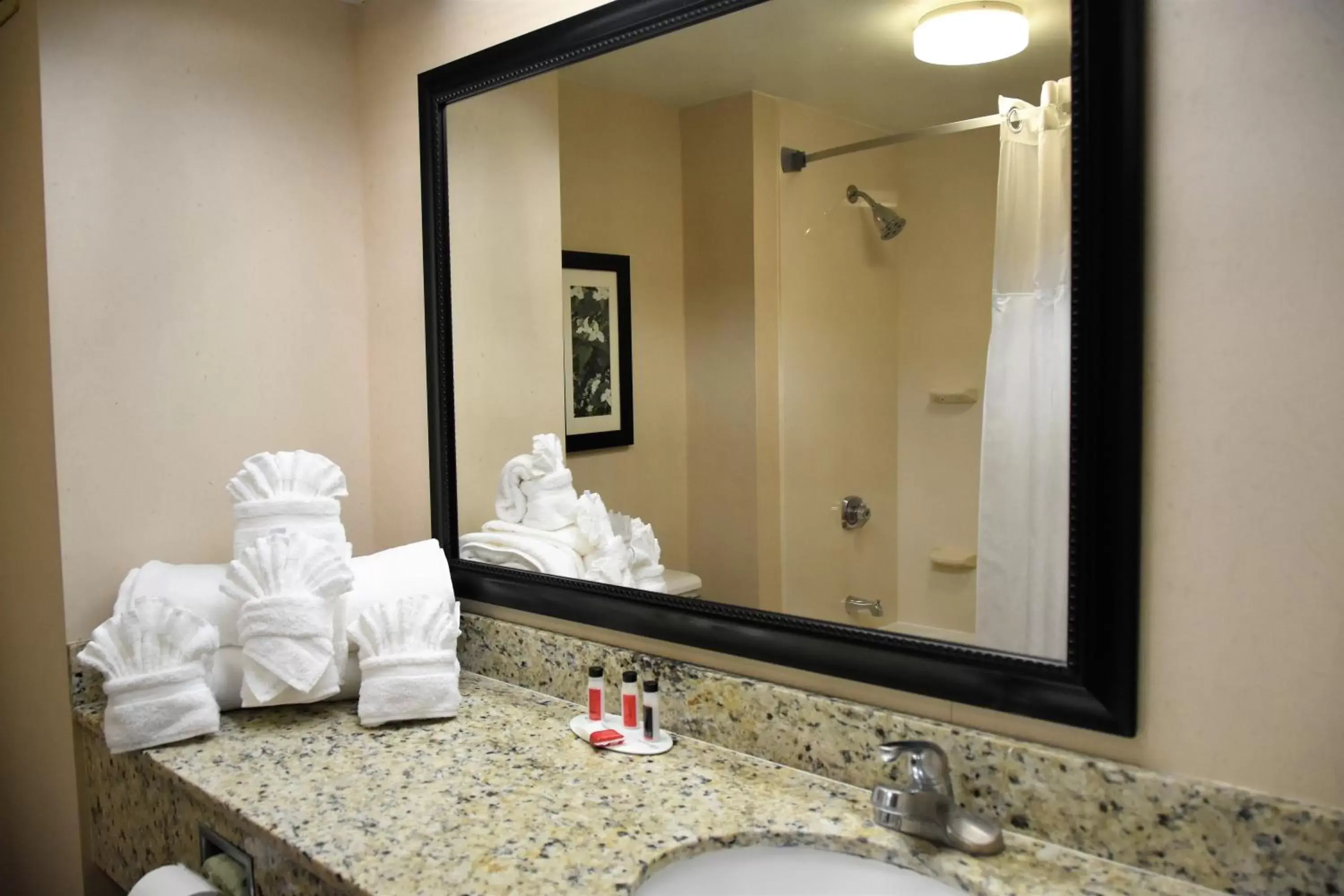 Bathroom in Ramada by Wyndham Pigeon Forge North