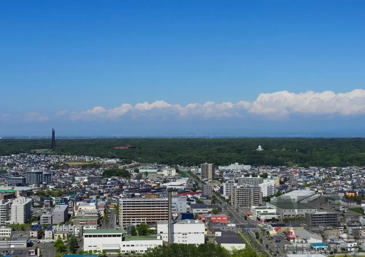 City view, Bird's-eye View in Hotel Emisia Sapporo