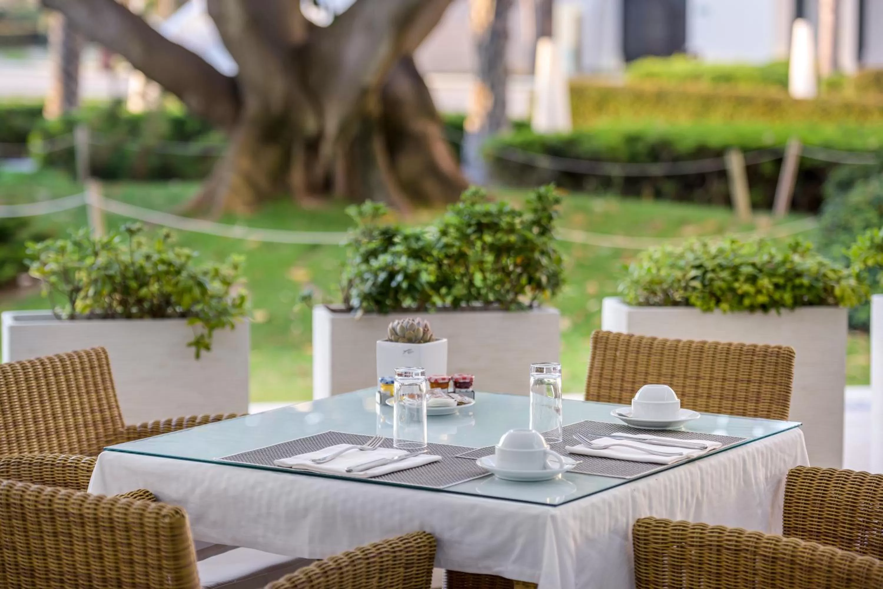 Restaurant/places to eat in Las Arenas Balneario Resort