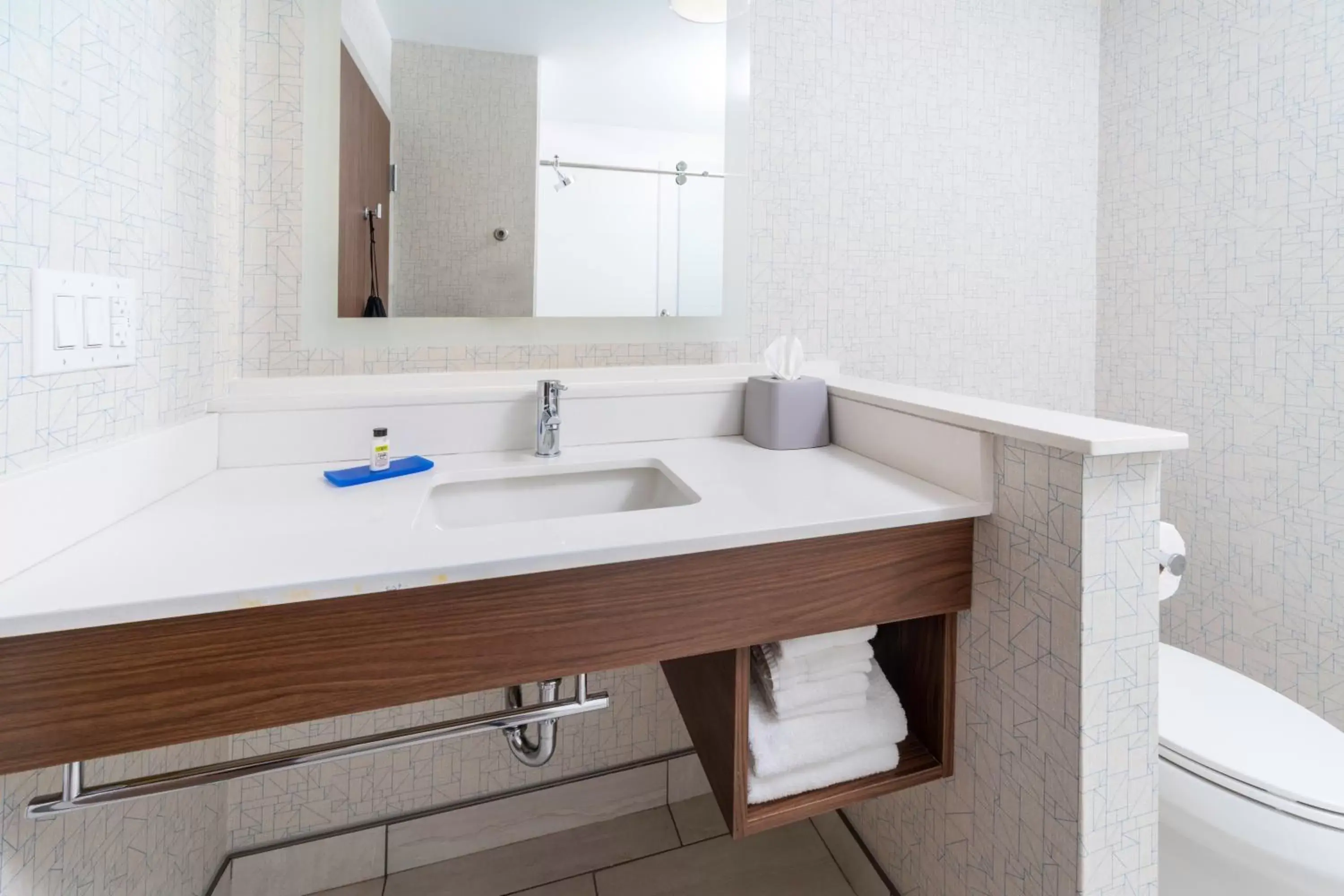 Bathroom in Holiday Inn Express - Brevard, an IHG Hotel