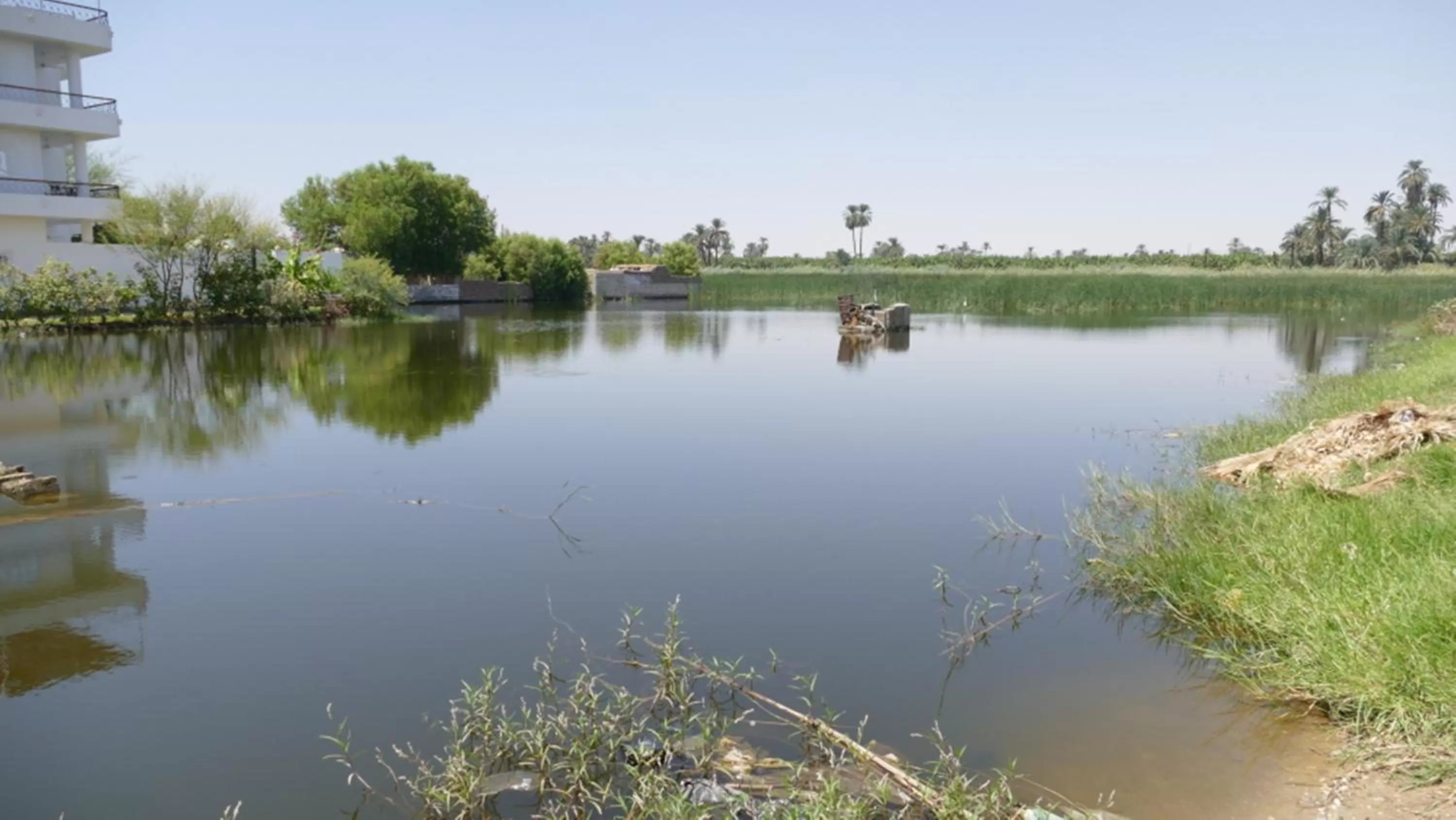 Mama Africa Apts & Studios