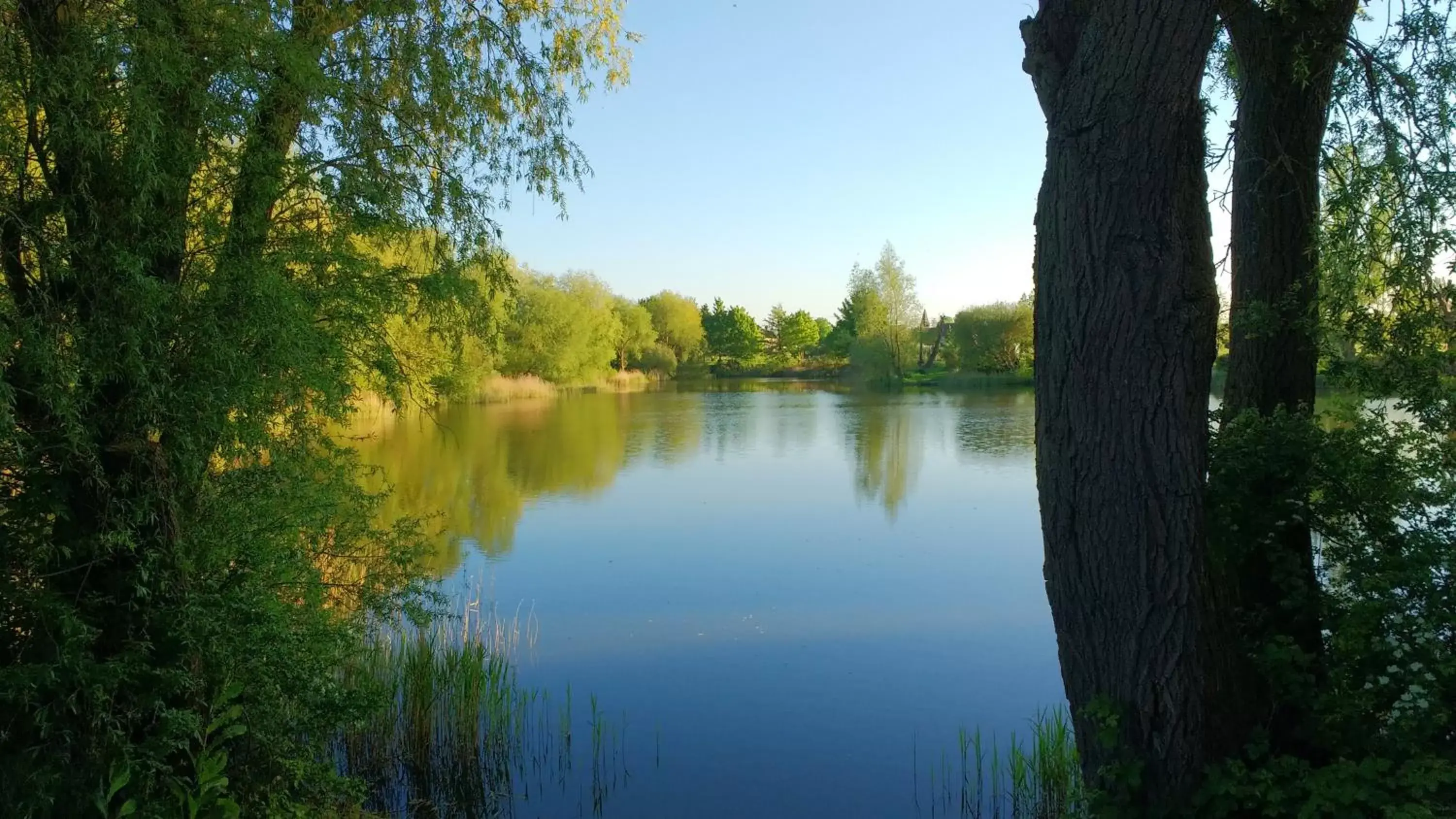 Fishing, Lake View in Highfields Holidays bed & breakfast