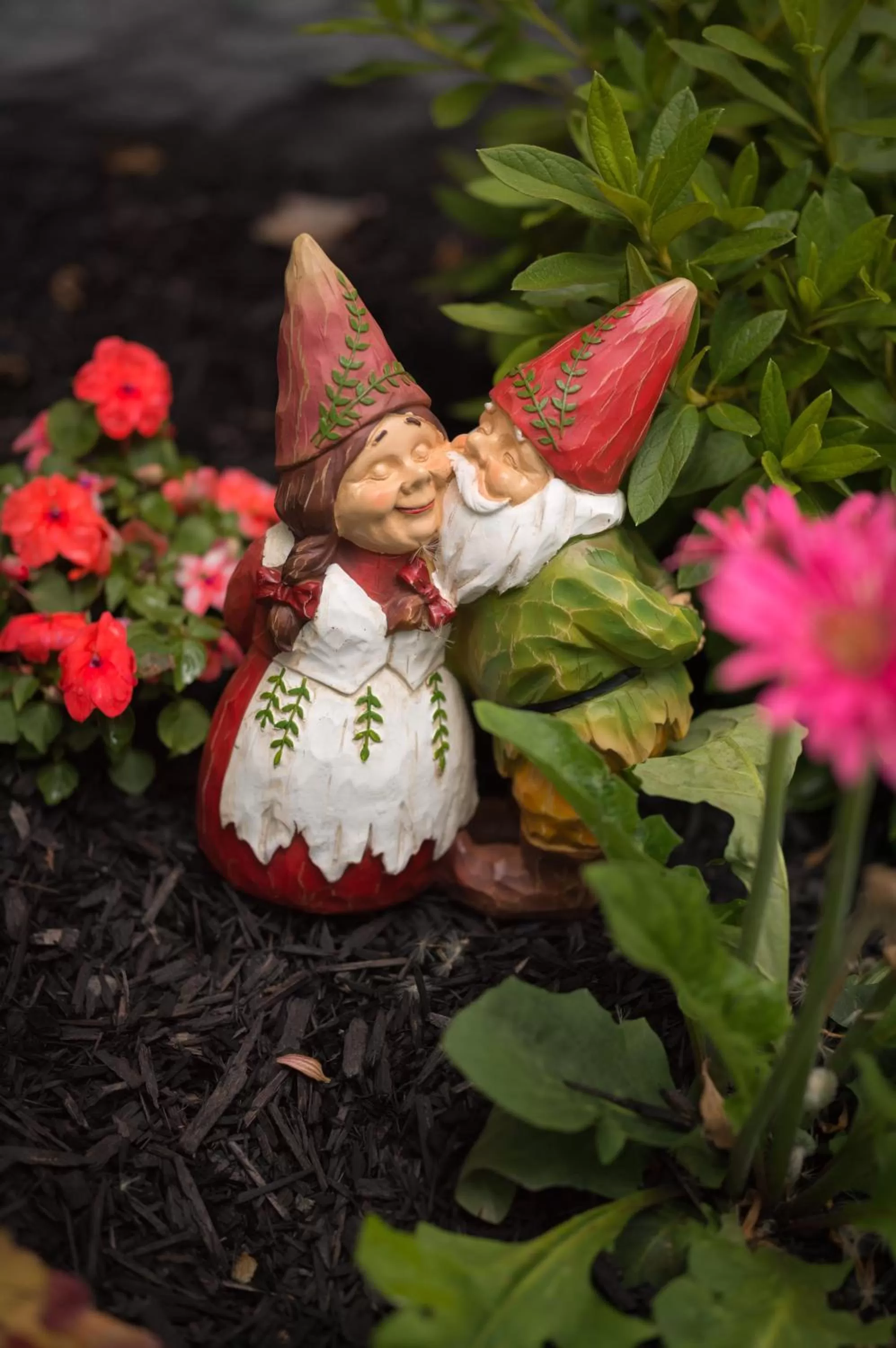 Garden in Poppy Sister Inn