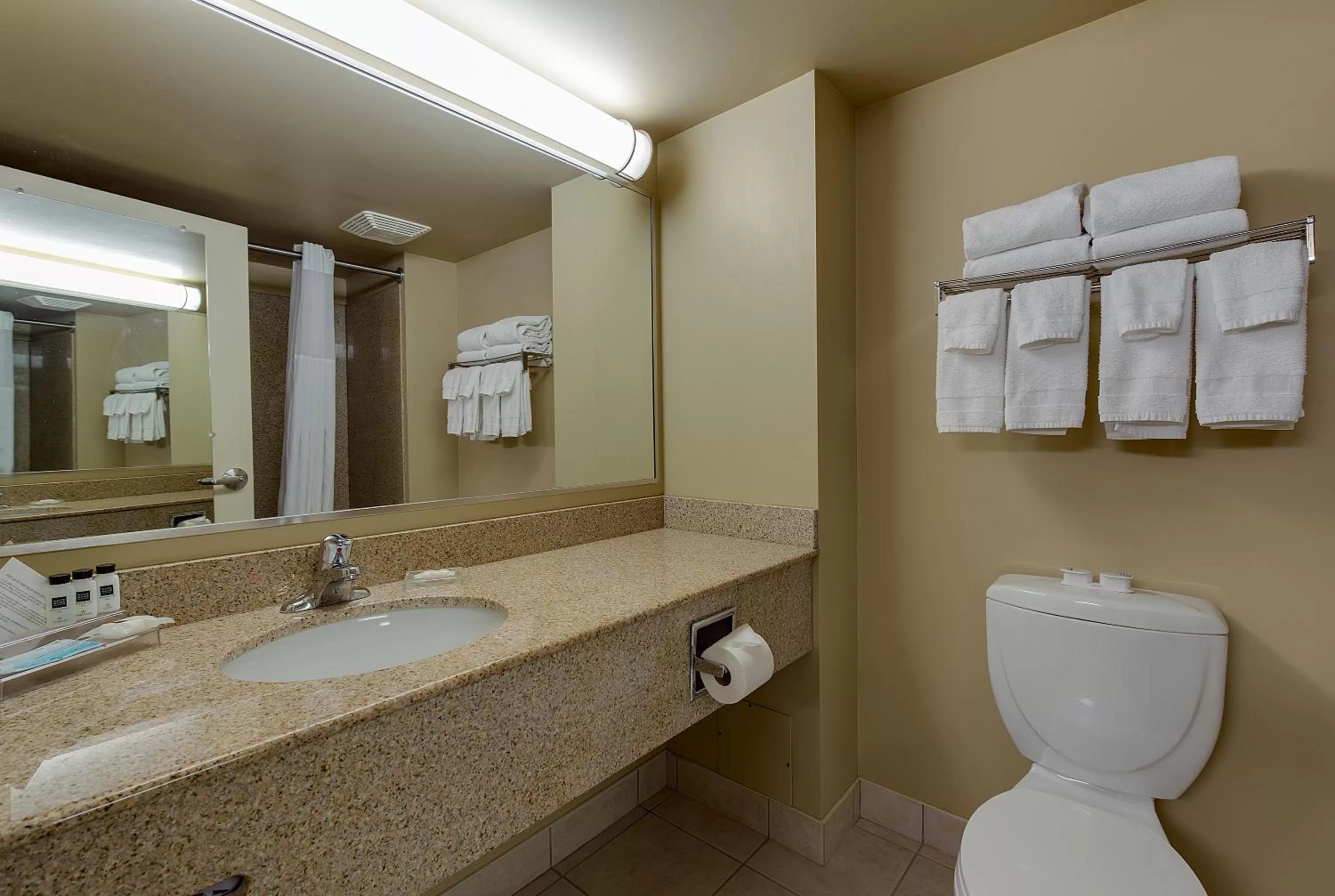 Bathroom in Country Inn & Suites by Radisson, Niagara Falls, ON
