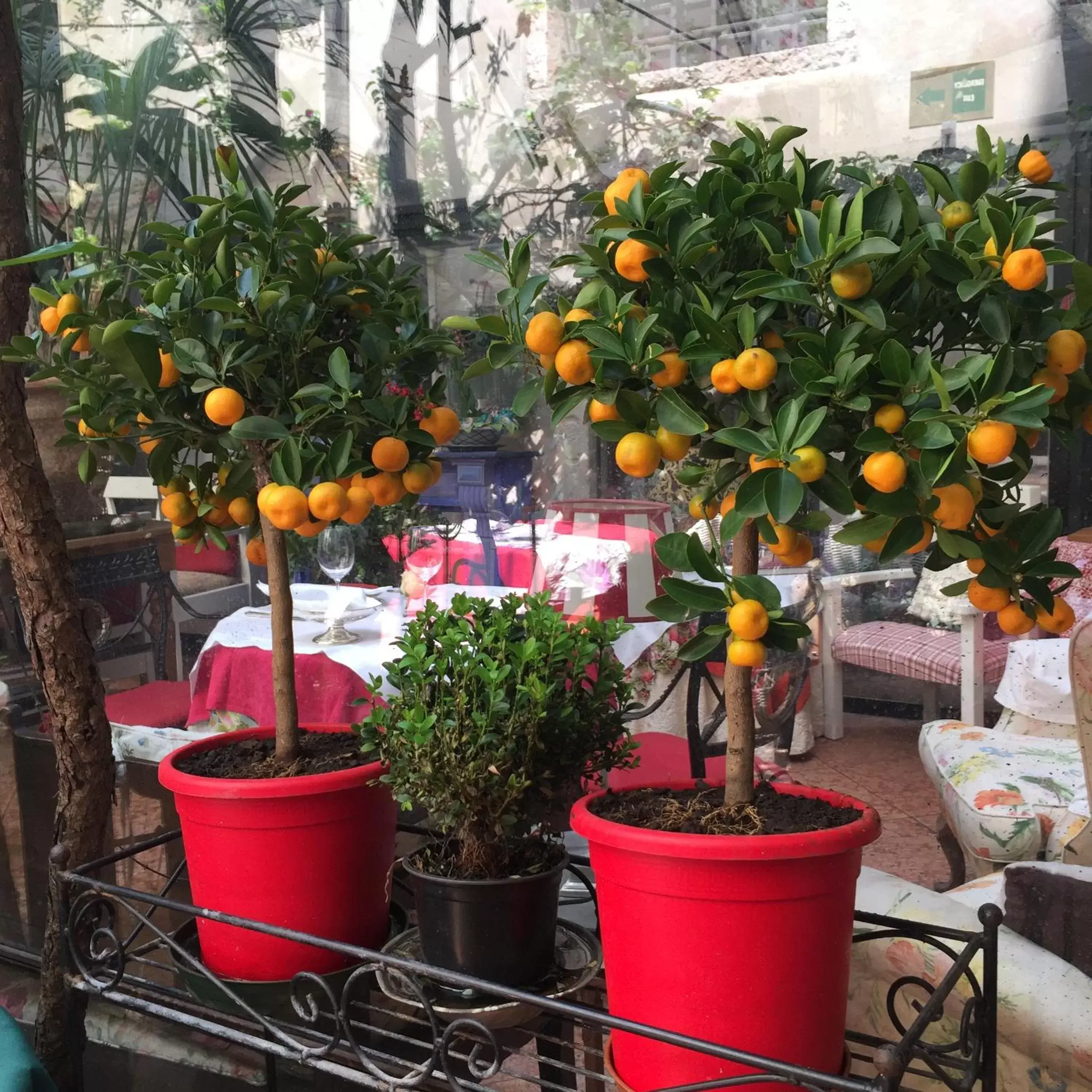 Garden view in Hotel Gabbia D'Oro Garden view in Hotel Gabbia D'Oro