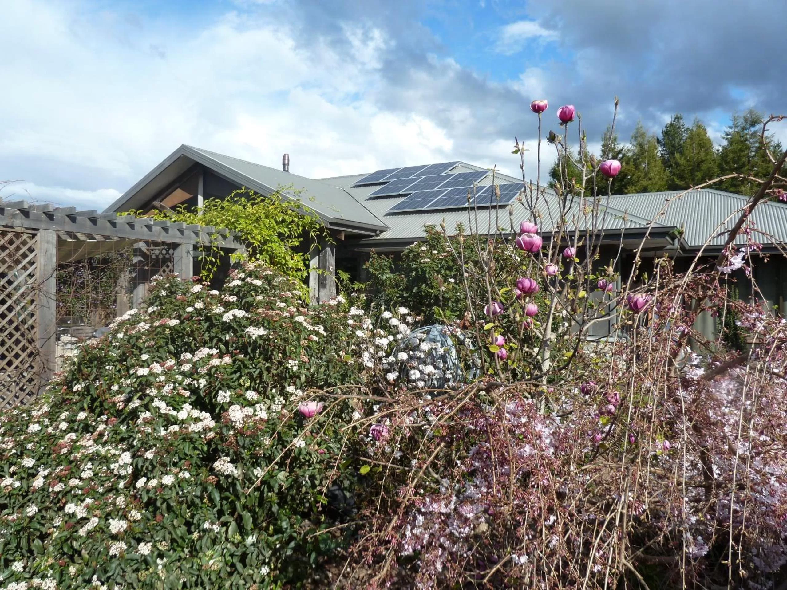 Garden in Redwood Valley B & B