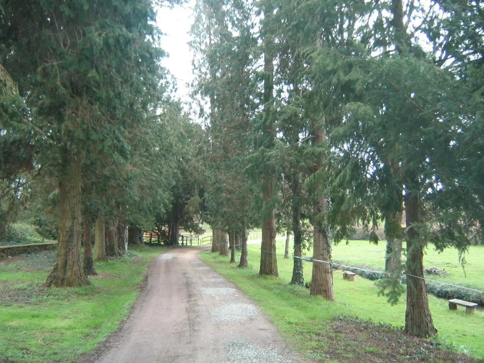 Area and facilities, Garden in La Barillerie