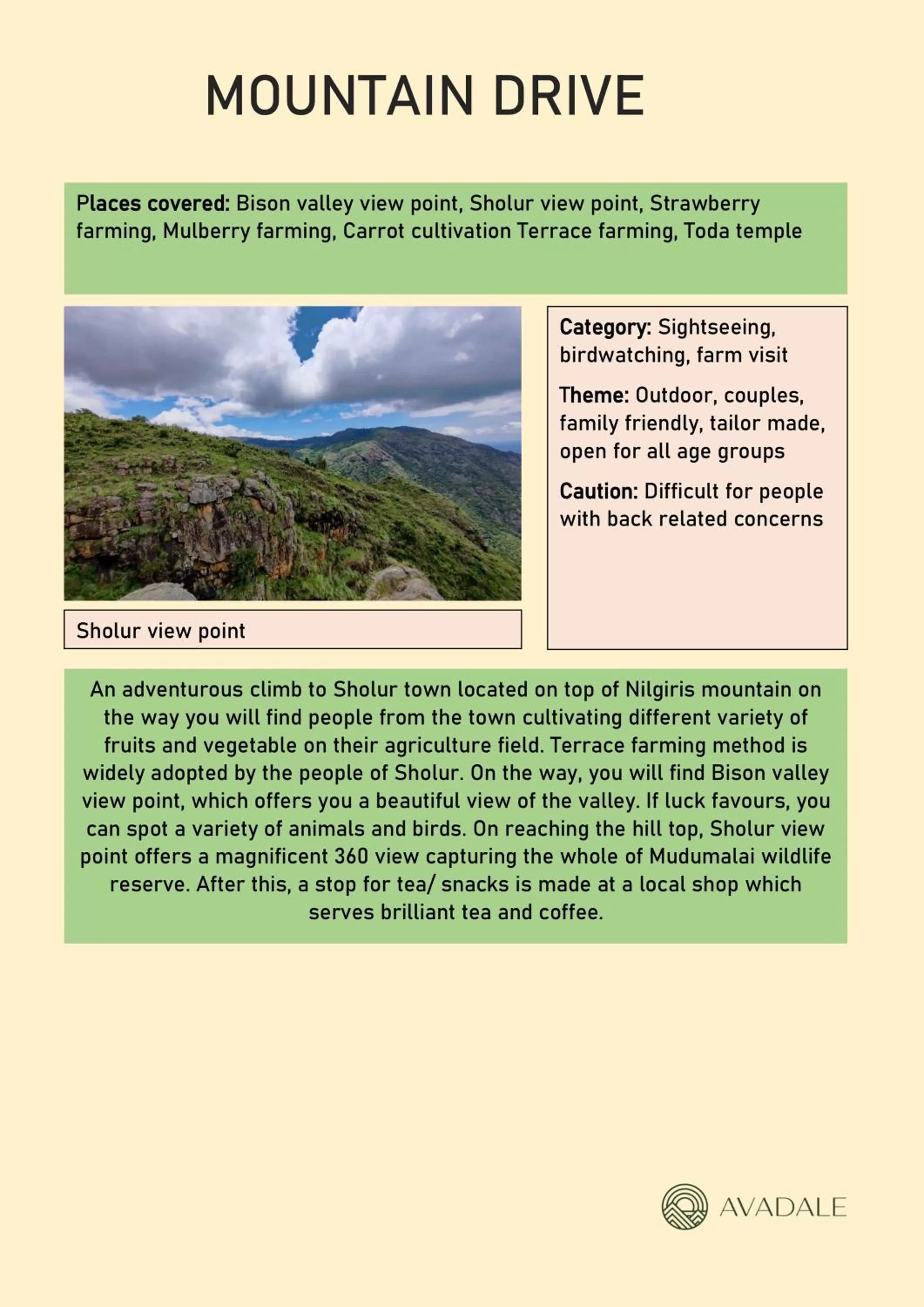 Activities in Avadale Masinagudi - Stag Groups Not Allowed