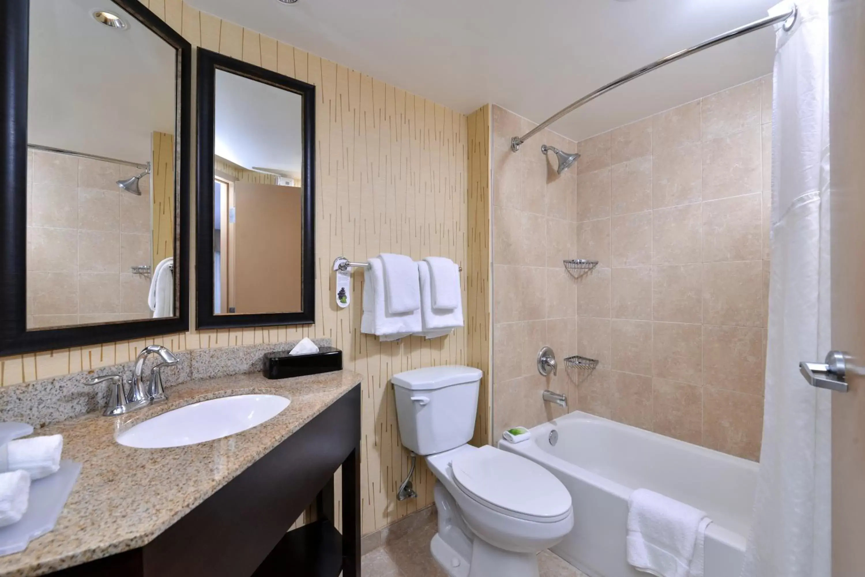 Bathroom in Holiday Inn Express Hunt Valley, an IHG Hotel