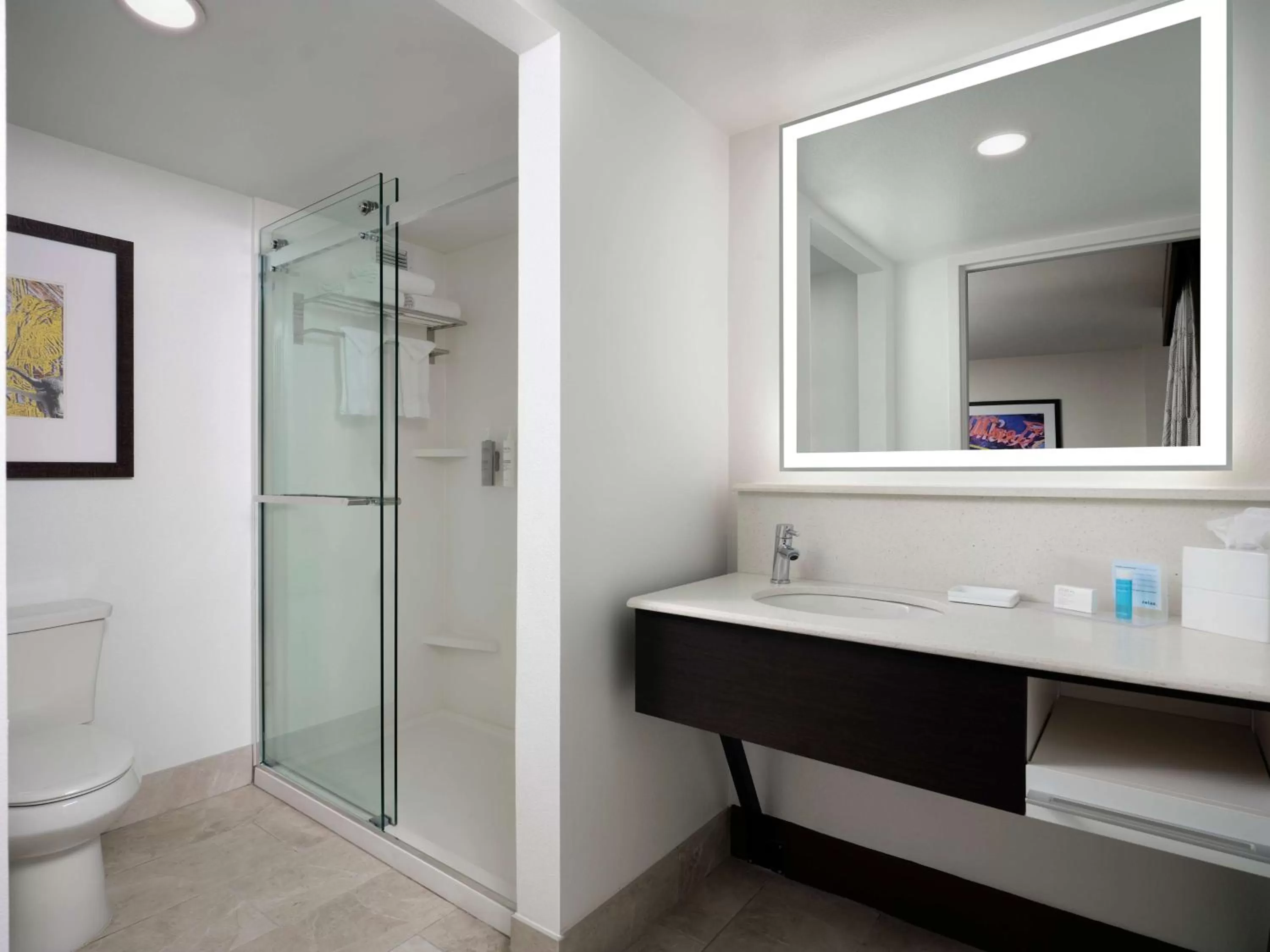 Bathroom in Hampton Inn & Suites Austin - Downtown