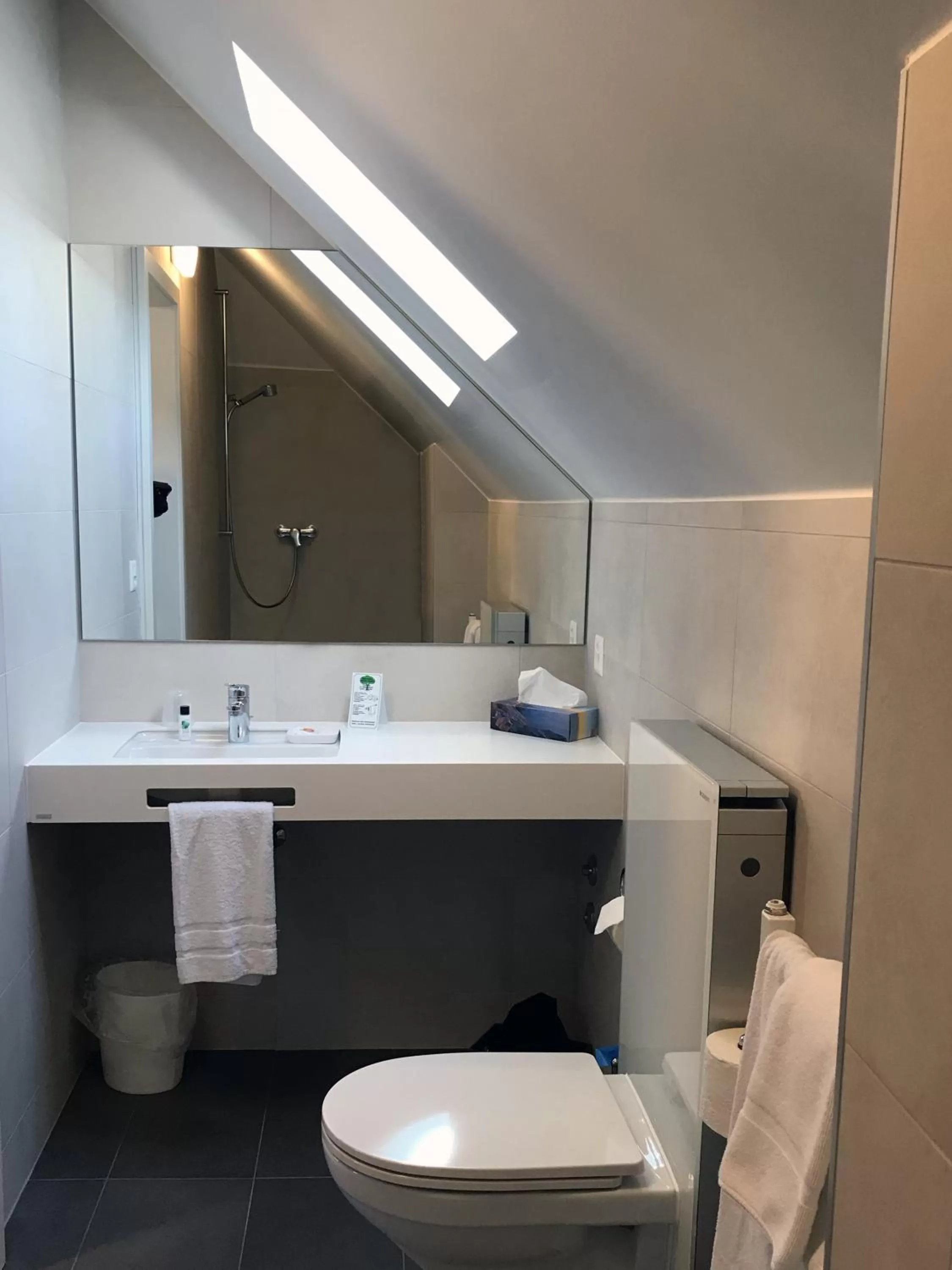 Toilet in Hôtel de l'Ecluse