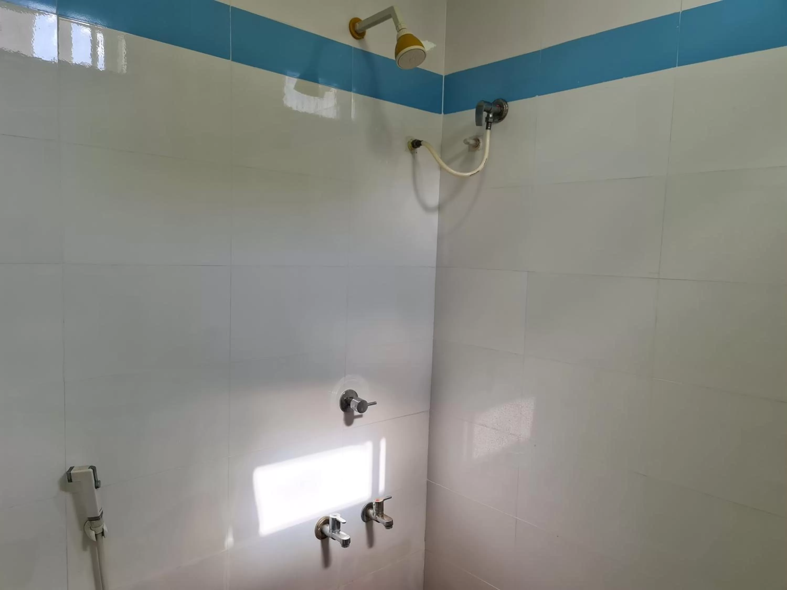 Bathroom in Vijay Shree Inn