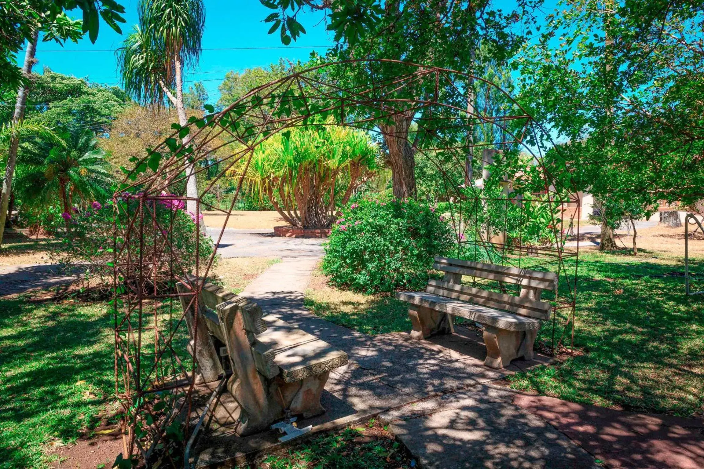 Garden in Airport Costa Rica B&B