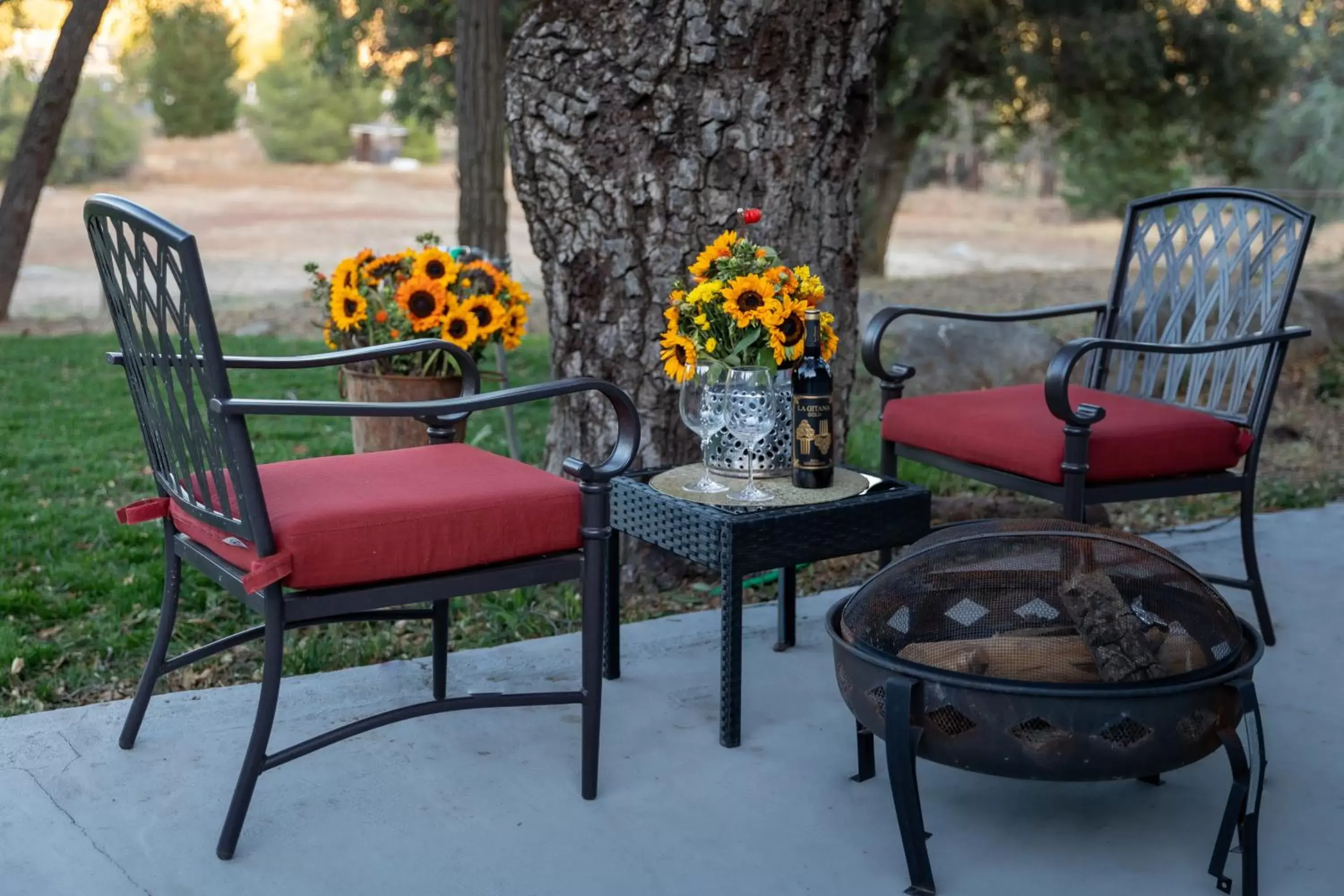 Patio, Seating Area in Apple Tree Inn