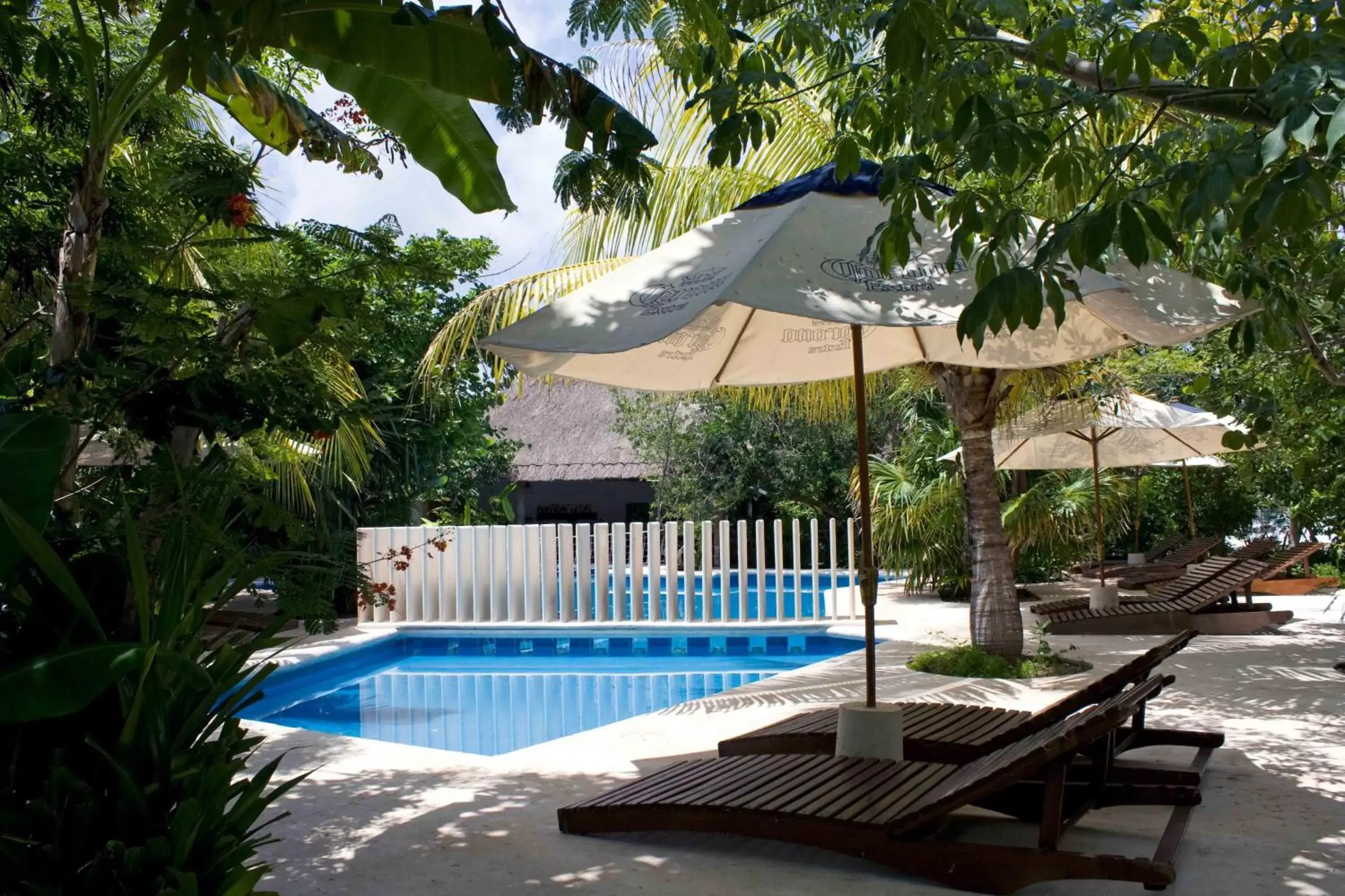 Swimming Pool in Sotavento Hotel & Yacht Club