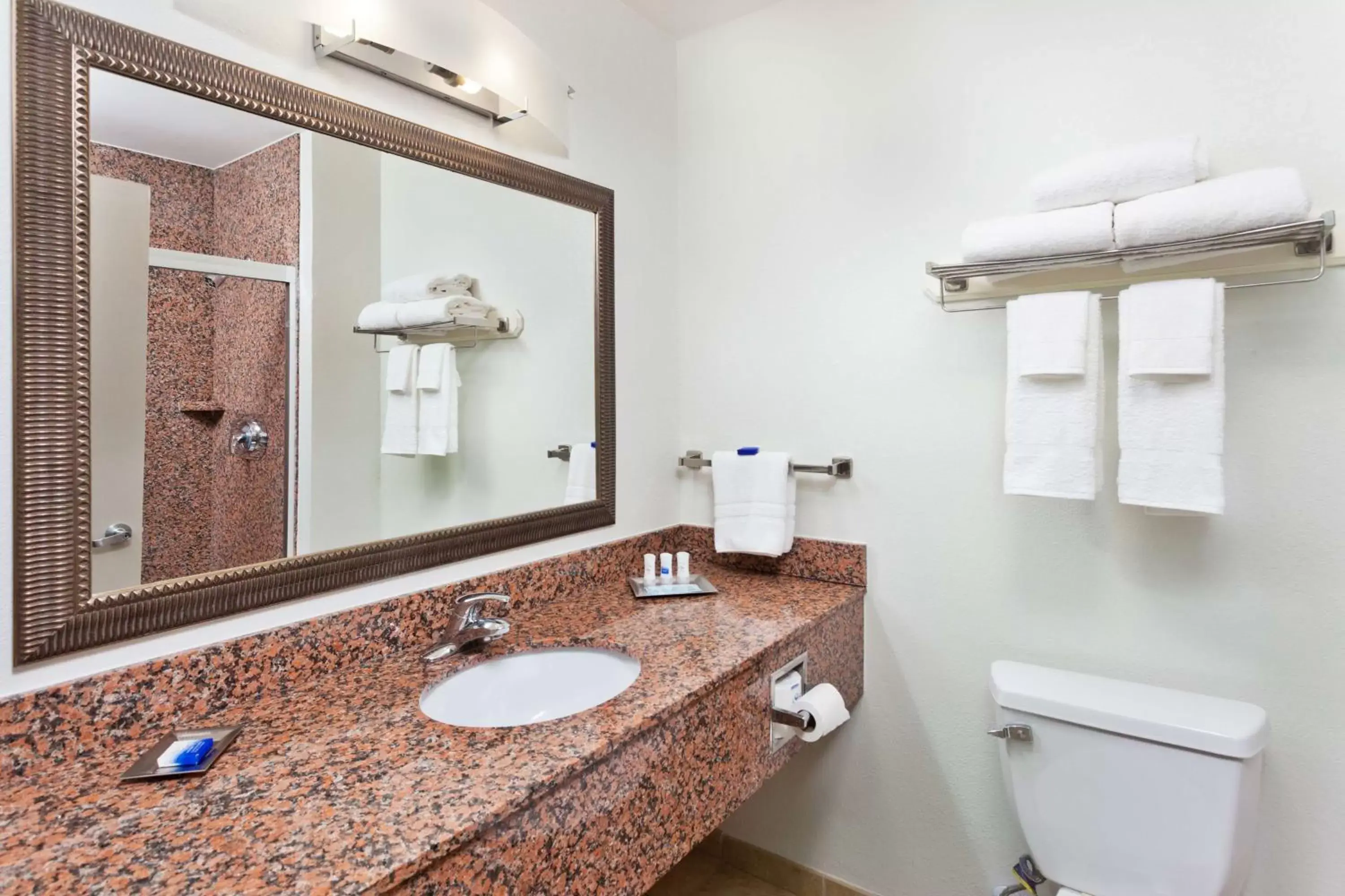 Bathroom in Best Western Plus Columbus North Fort Moore Bathroom in Best Western Plus Columbus North Fort Moore