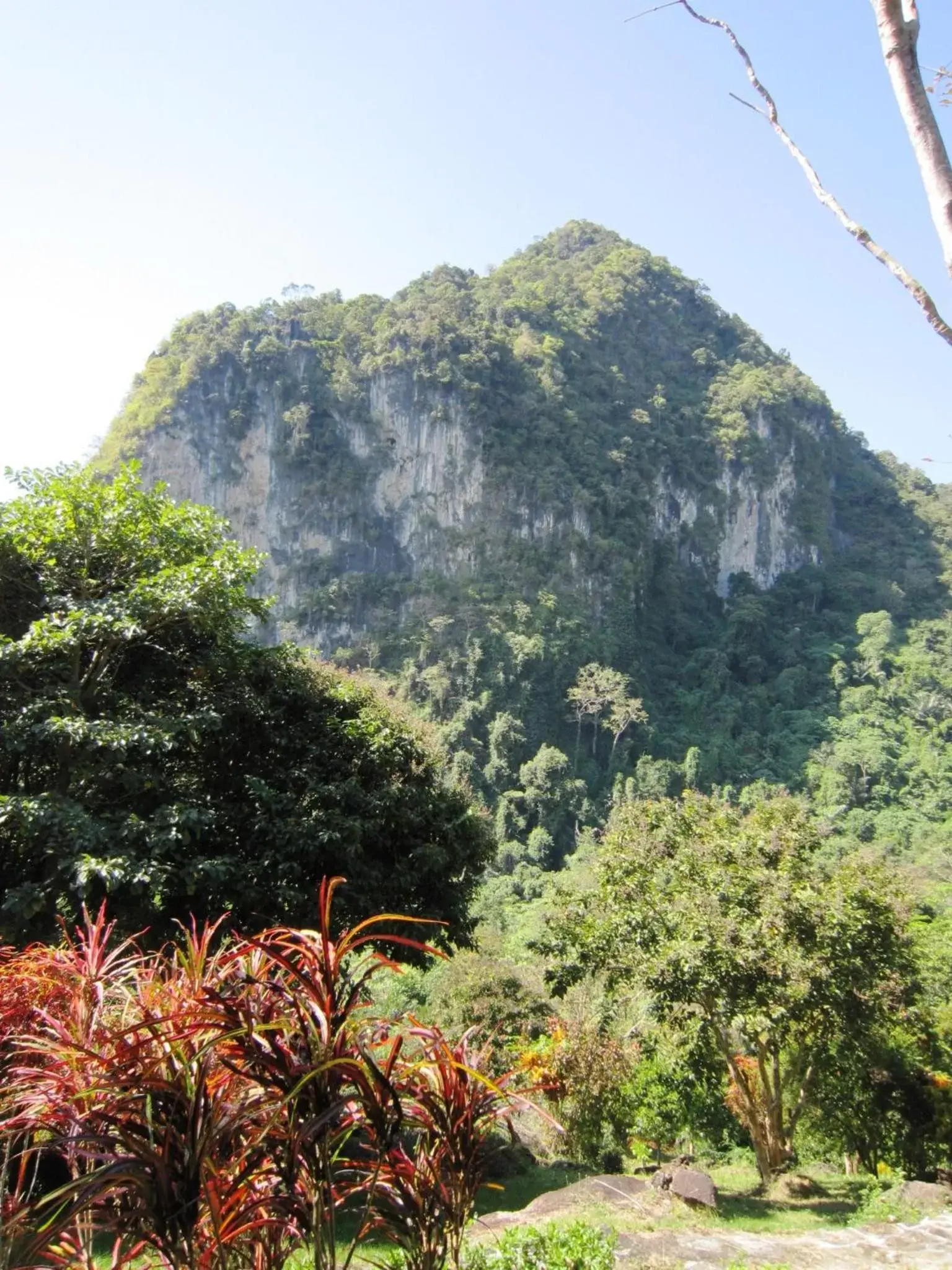 Phanom Bencha Mountain Resort