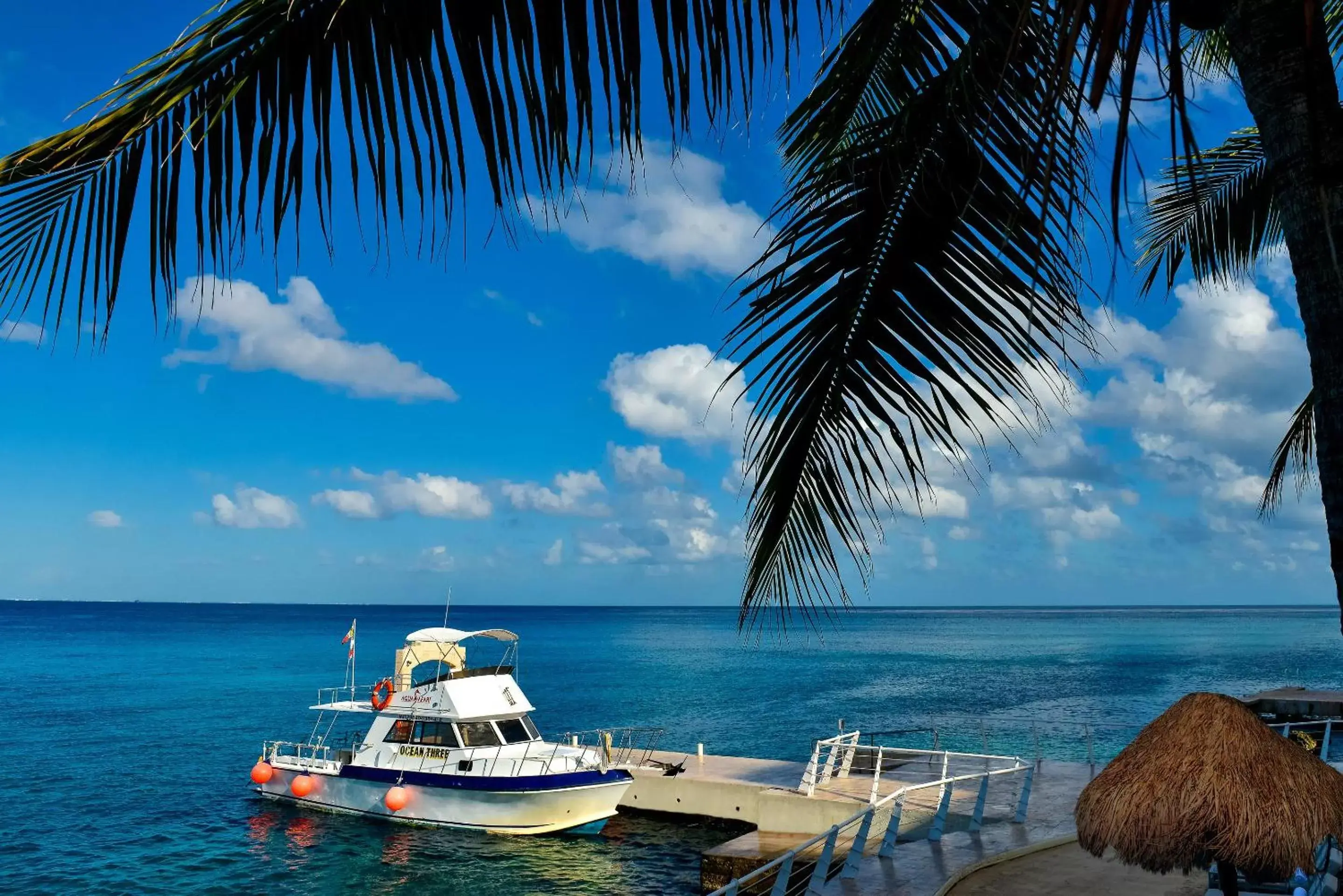 Natural landscape, Sea View in Cozumel Palace-All Inclusive