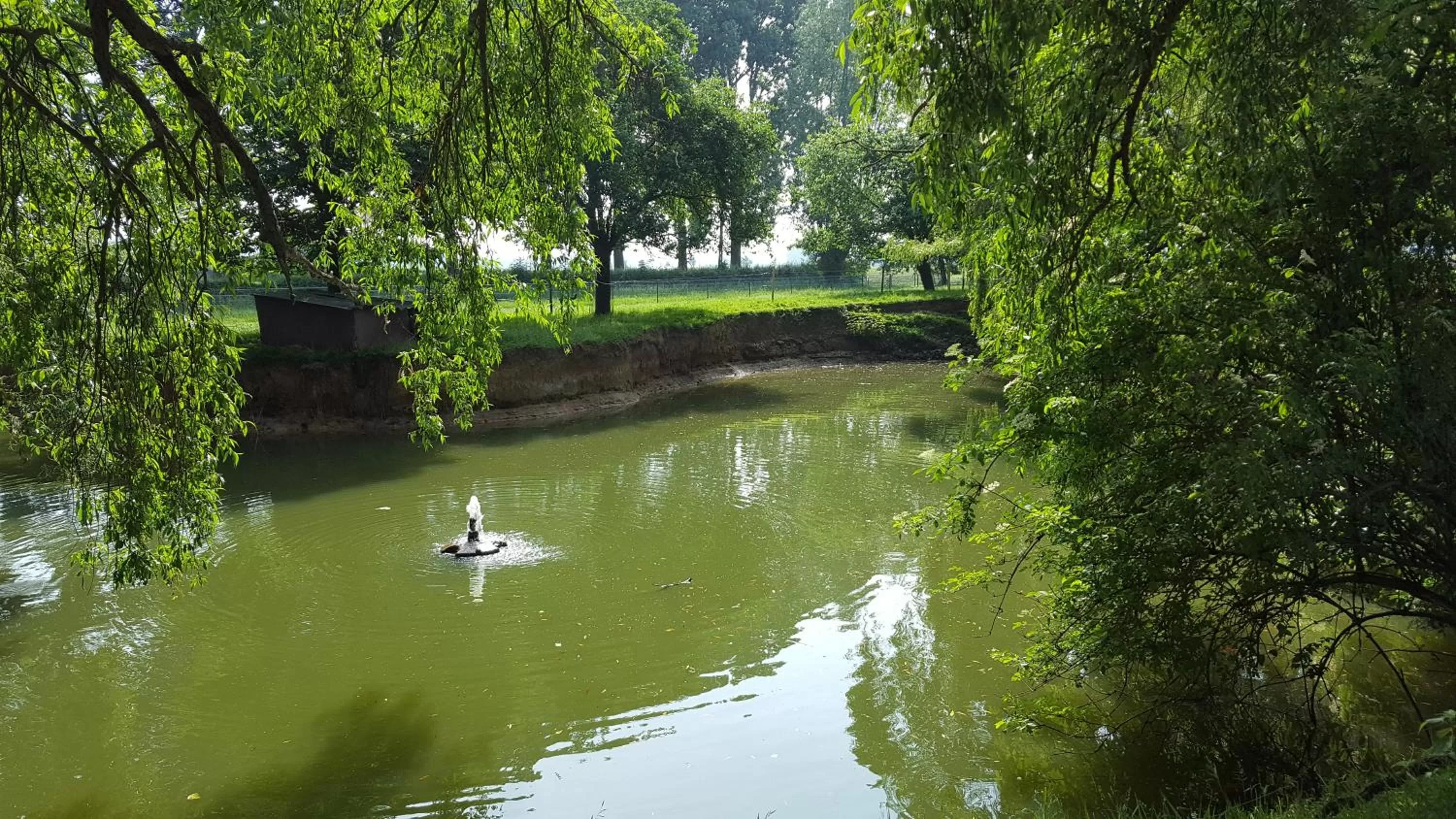 Other in Hotel Landhuis 't Wilgenerf