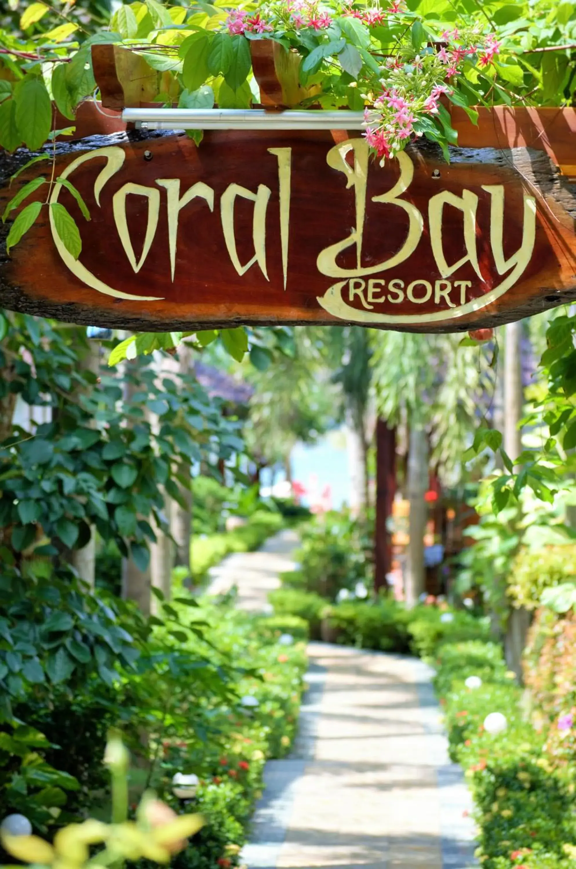 Bird's eye view in Coral Bay Resort