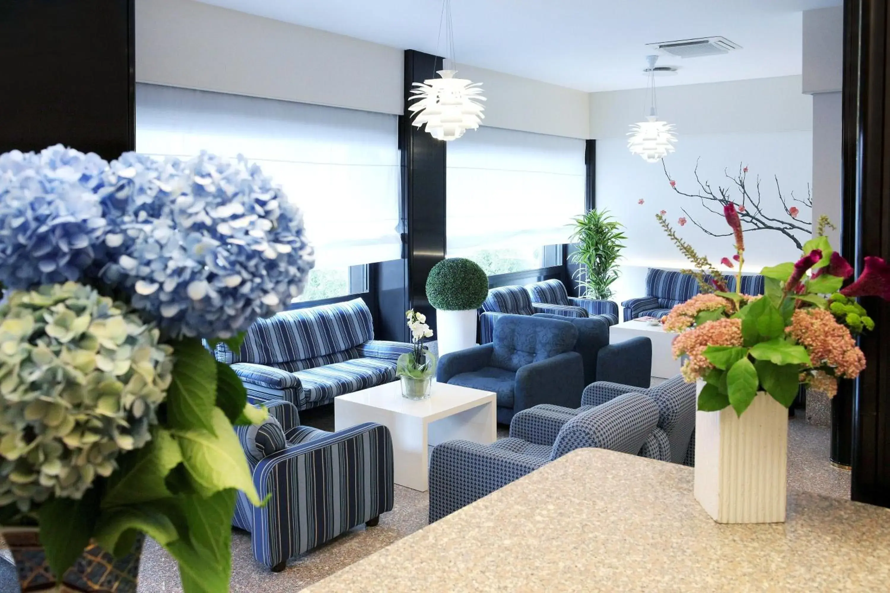 Lobby or reception, Lobby/Reception in Hotel Mennini