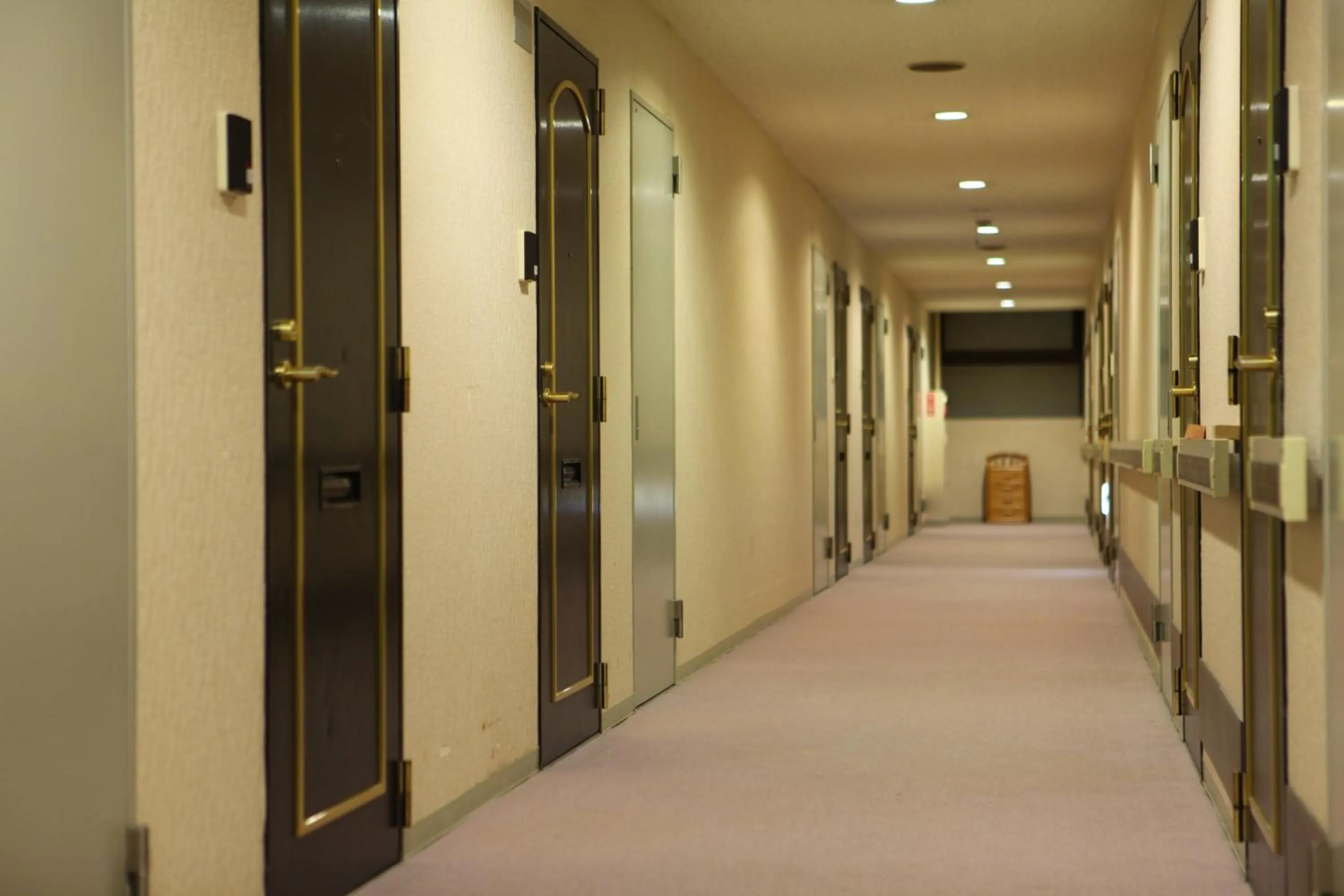 Other in Hotel Yudanaka