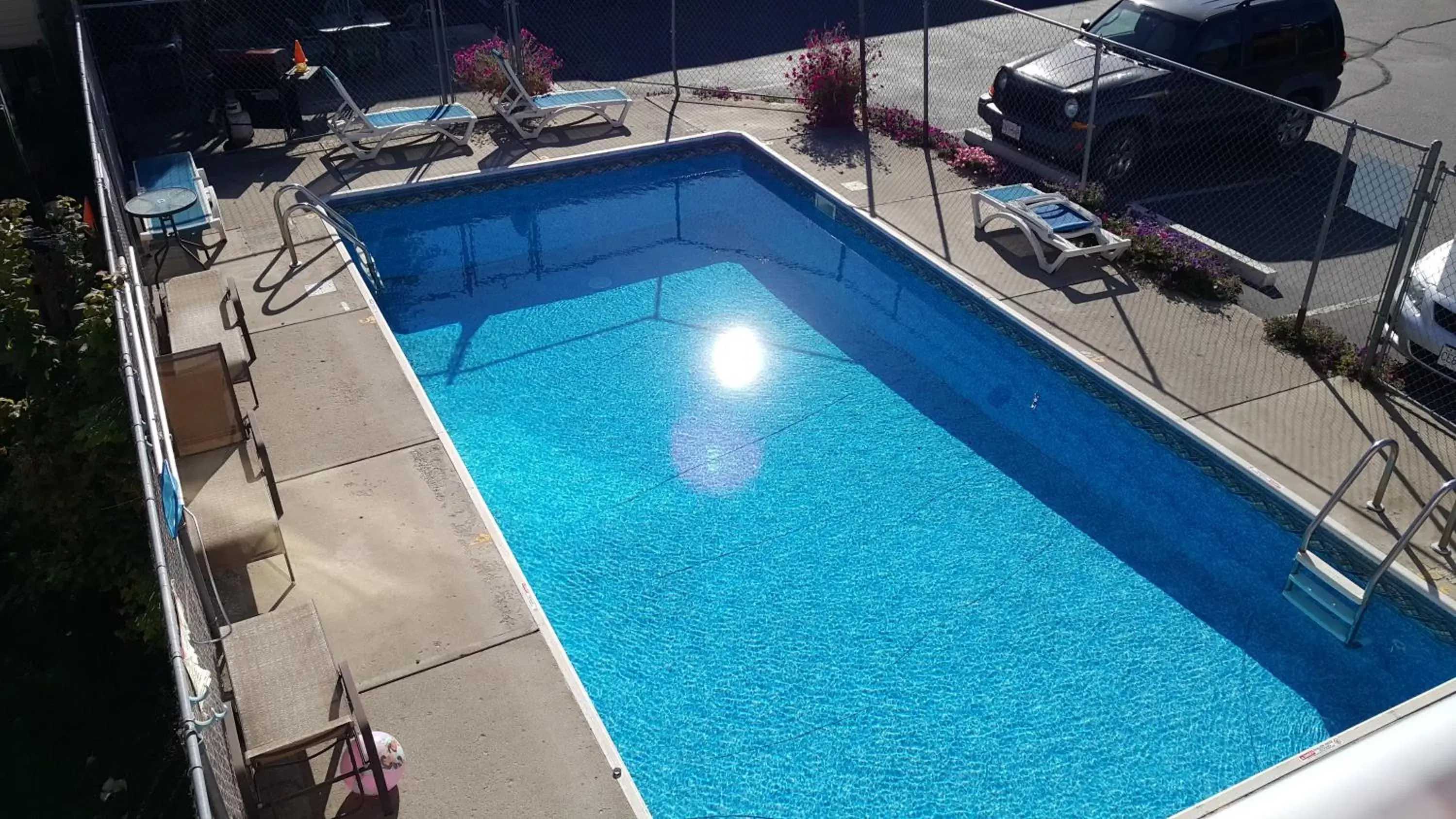 Day, Pool View in Cactus Tree Inn