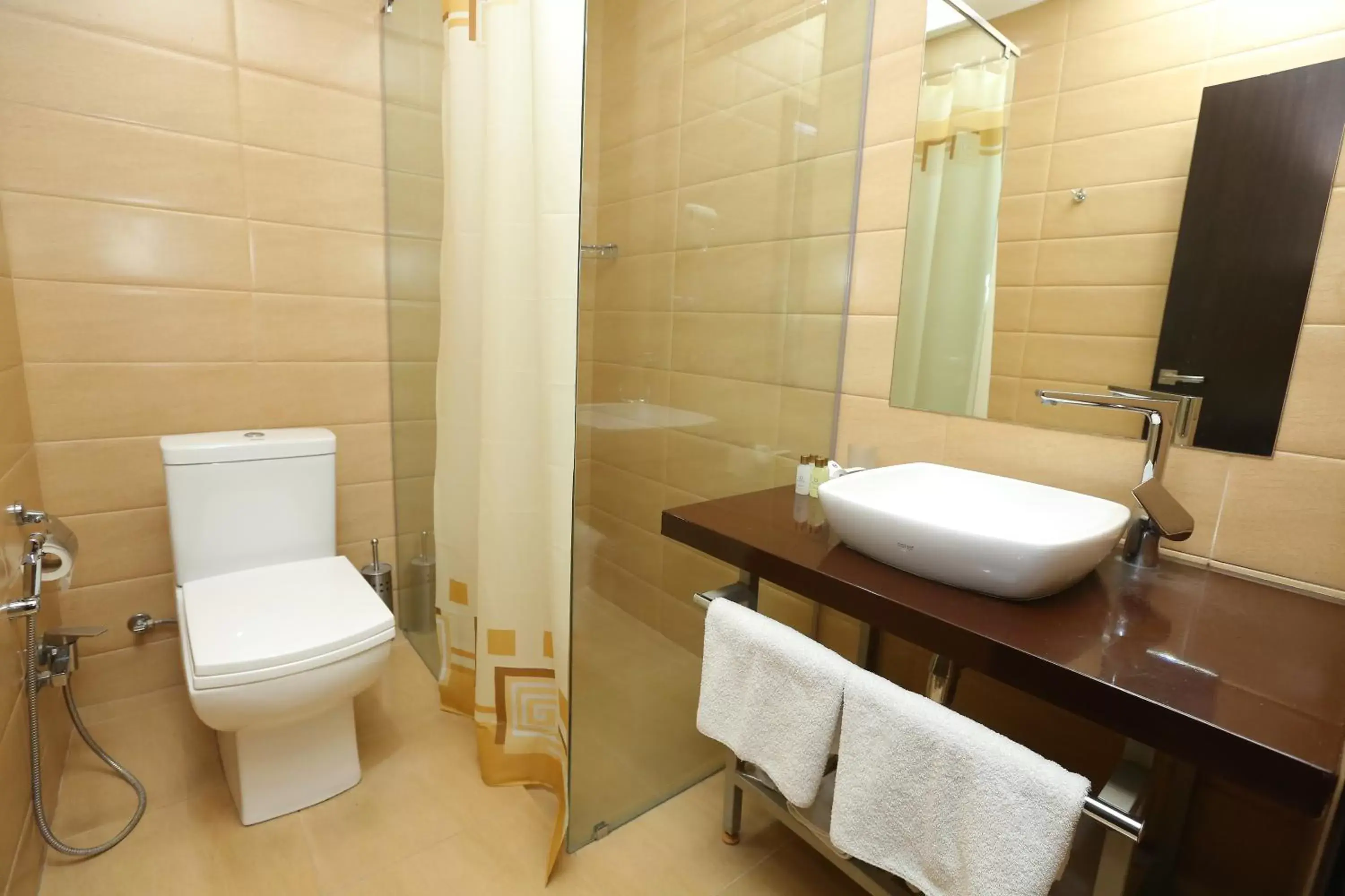 Shower, Bathroom in My Hotel Yerevan