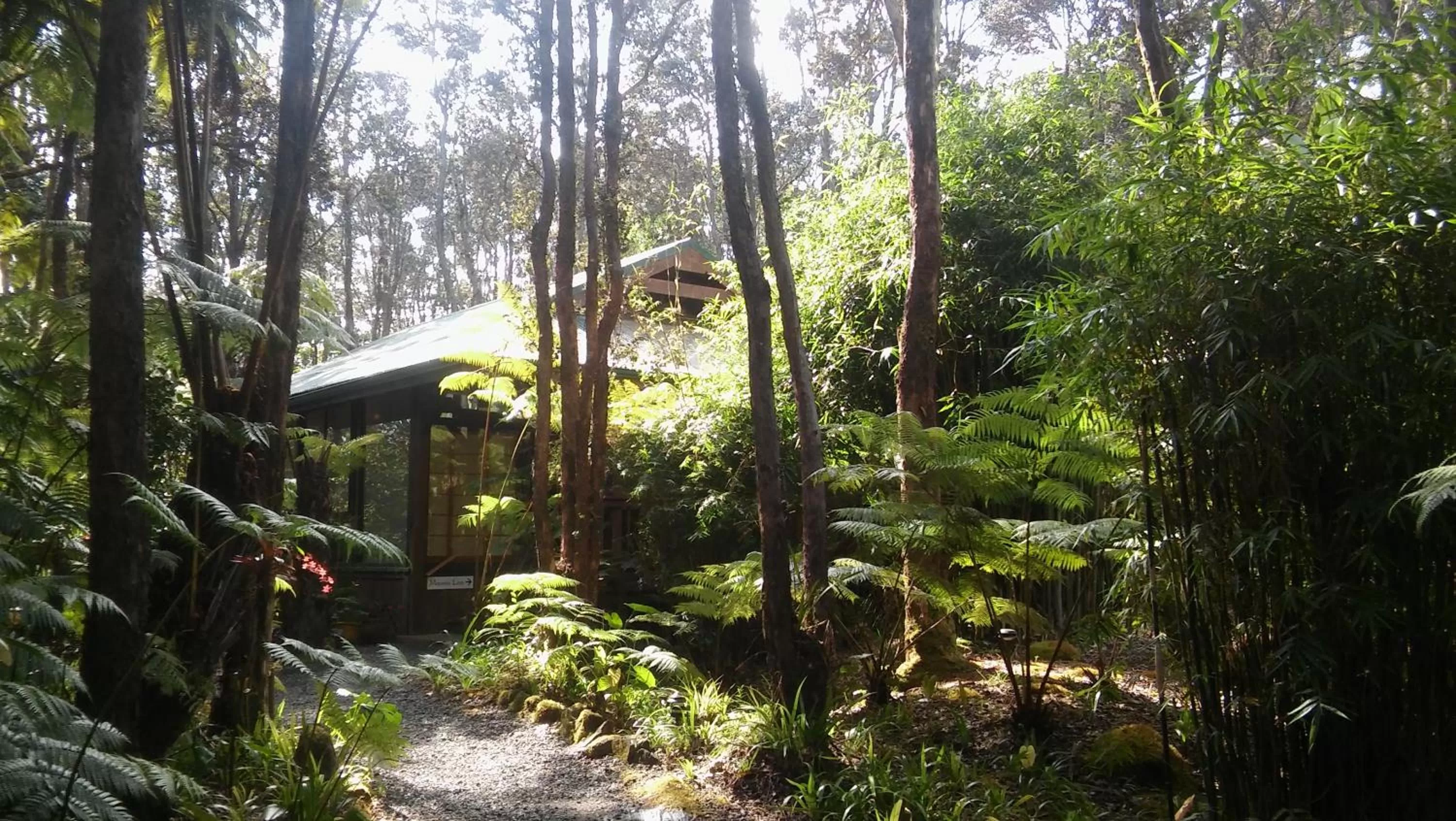 Facade/entrance, Property Building in Volcano Village Lodge