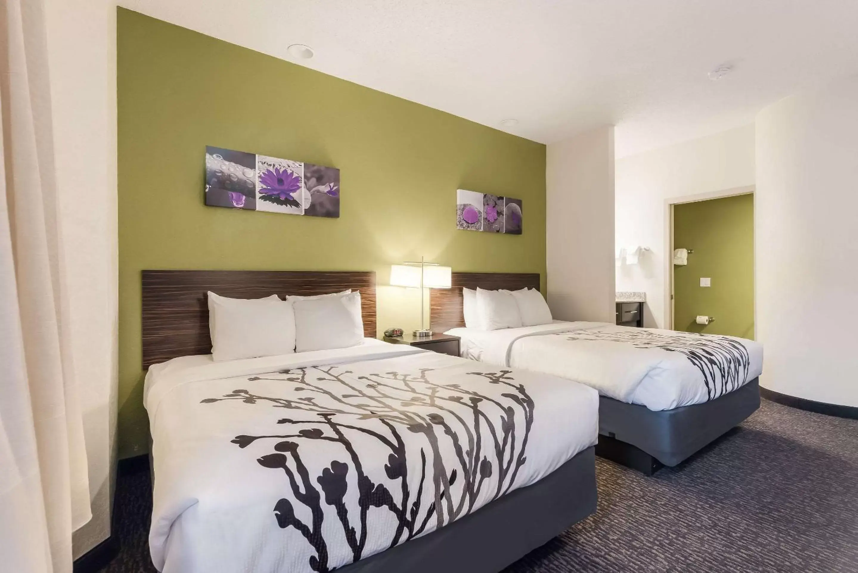 Photo of the whole room, Bed in Sleep Inn Flagstaff