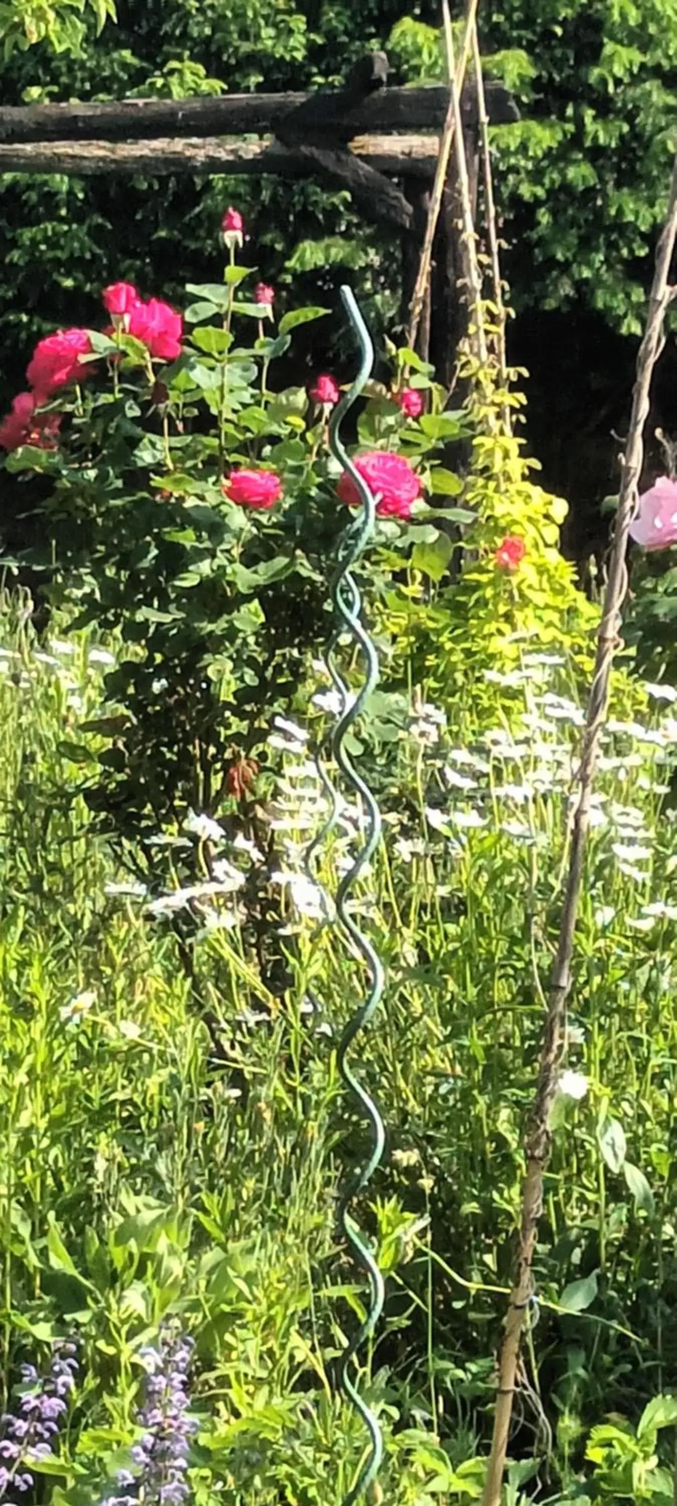 Garden in Au jardin de la Maison des Soeurs